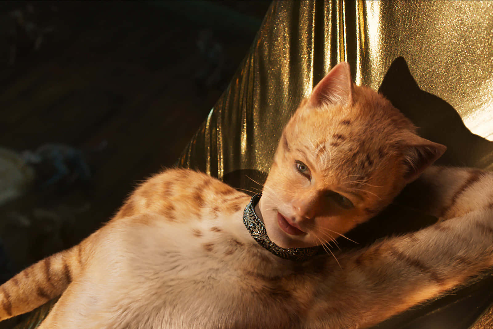 Hauskin kissahahmo Taylor Swift -kuva Taustakuvat
