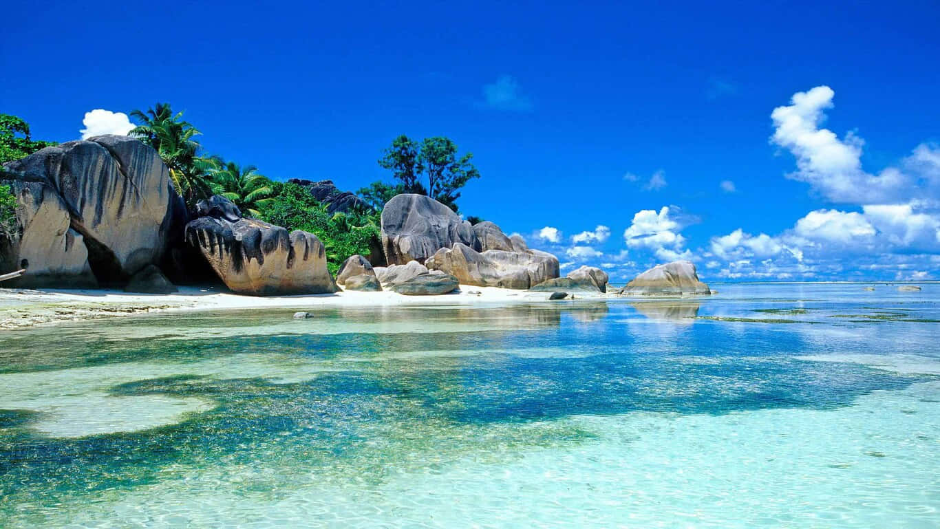HD-rantasaari Sri Lankassa Taustakuvat