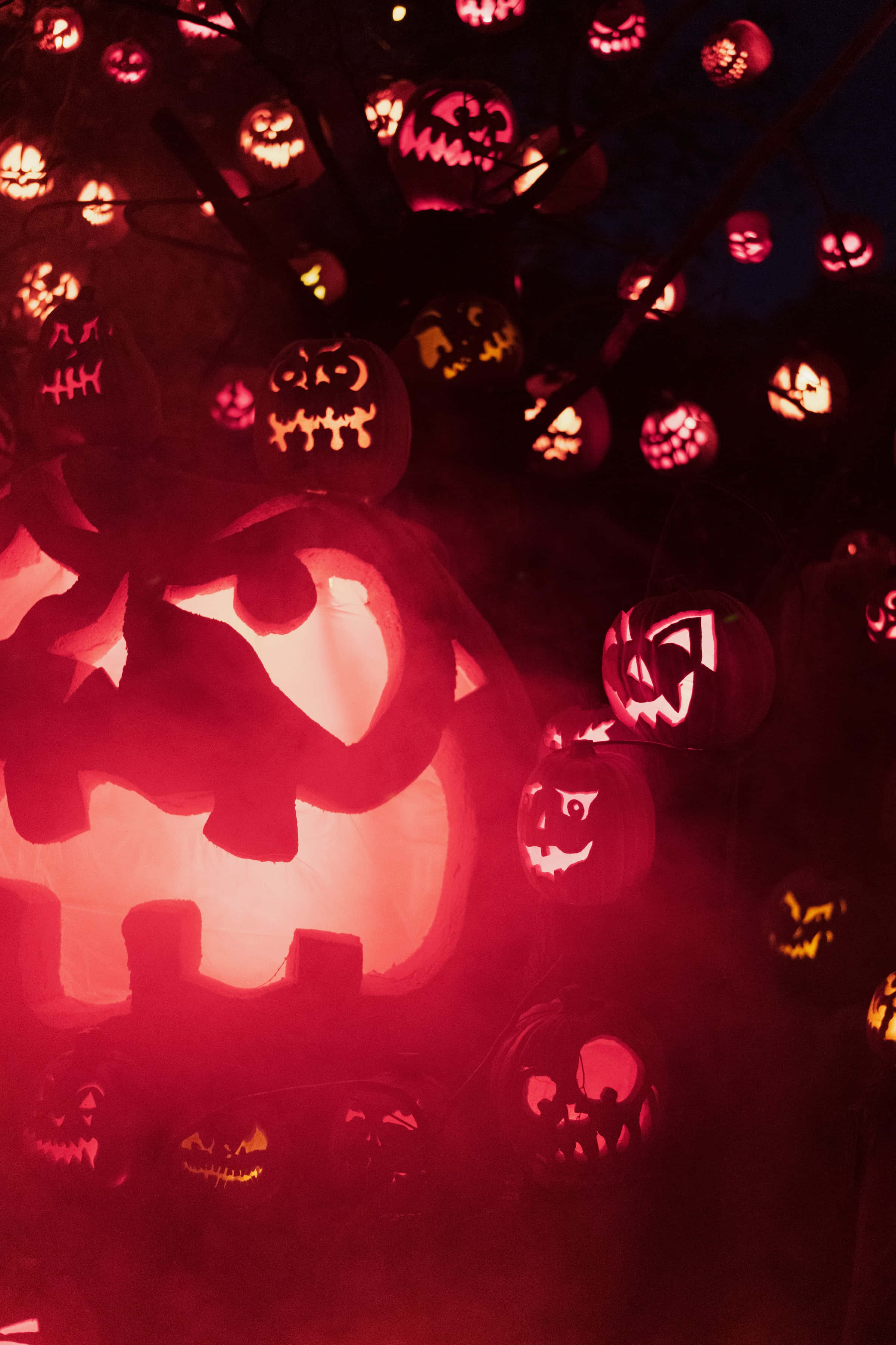 Hehkuva kurpitsalyhty korkearesoluutioinen Halloween-taustakuva Taustakuvat