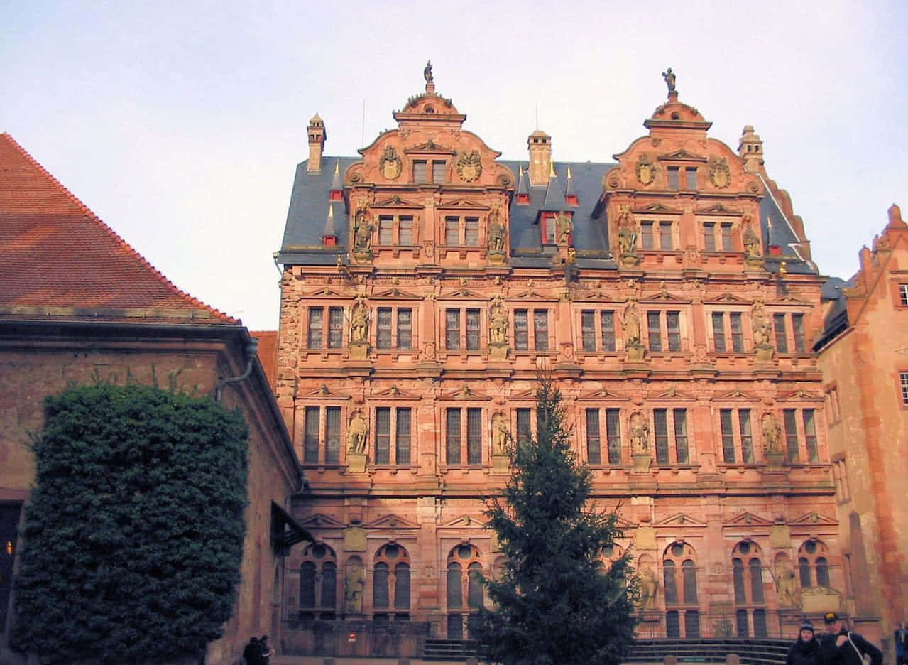 Heidelbergin linna sammakkonäkökulmasta Taustakuvat