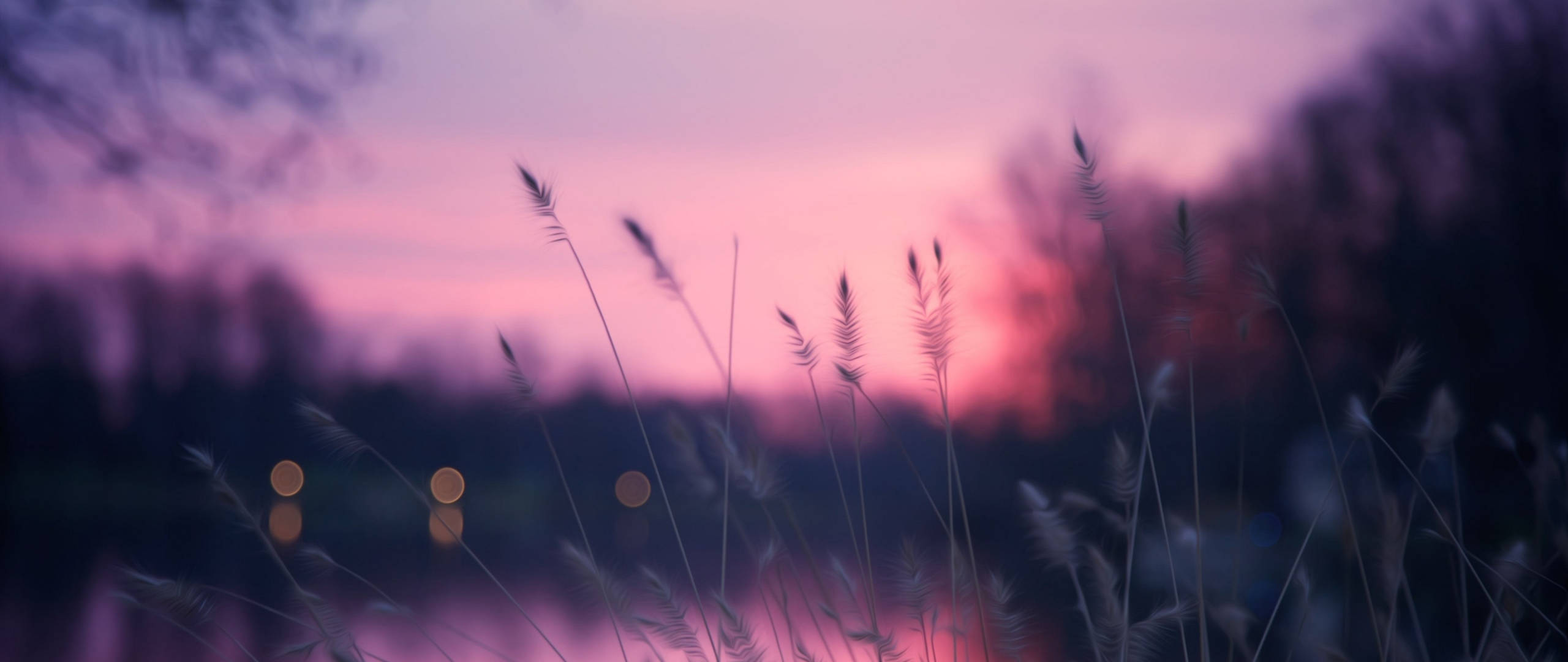 Heinää auringonlaskun taivaalla Pinterest-kannettava Taustakuvat