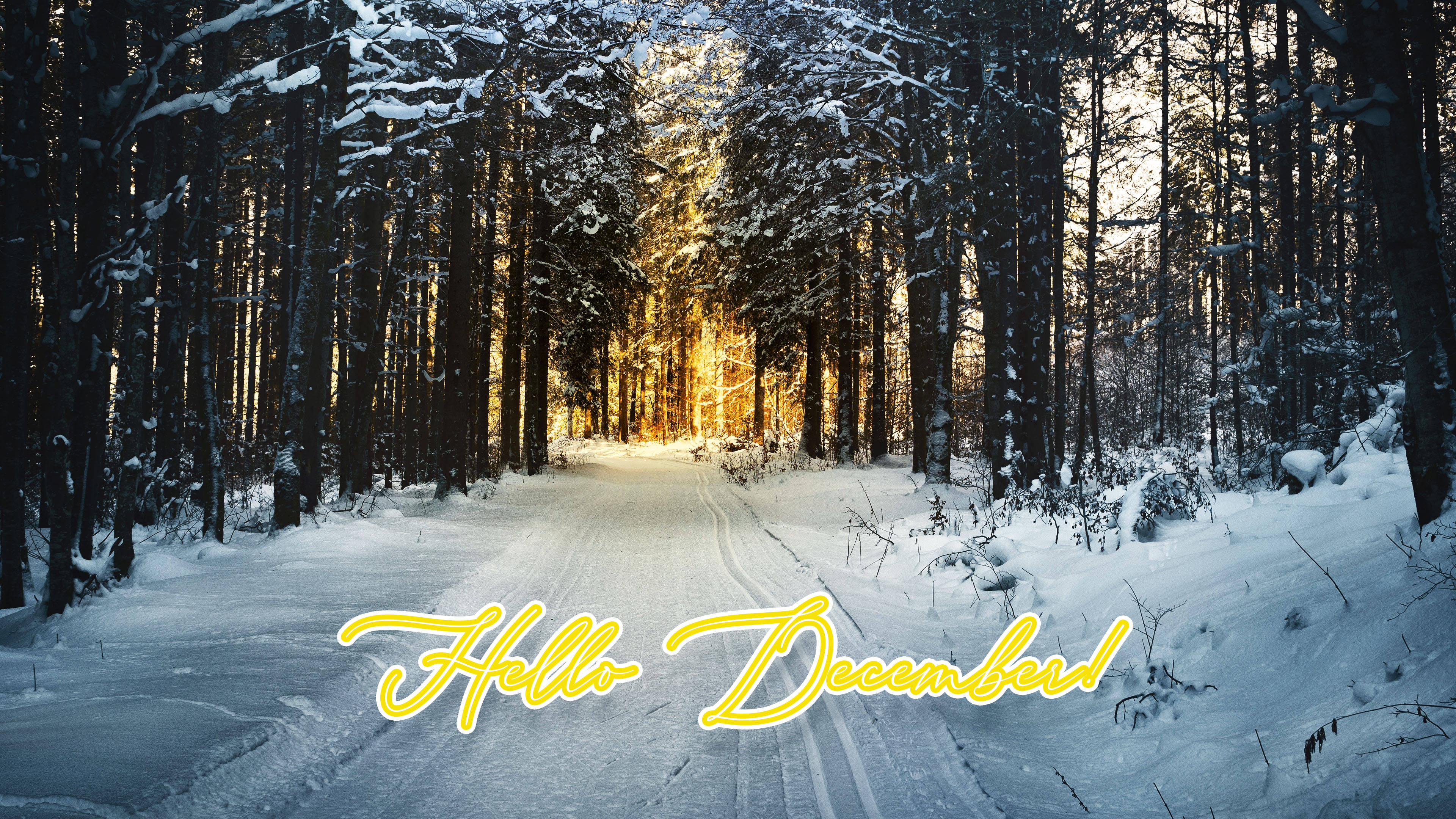 Hello December Winter Forest Taustakuvat