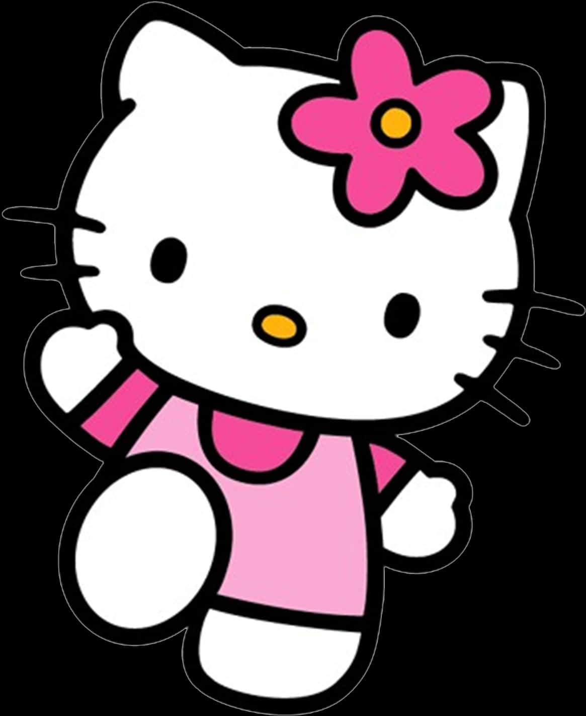 Hello Kitty Pinkki Asu Kukka Taustakuvat