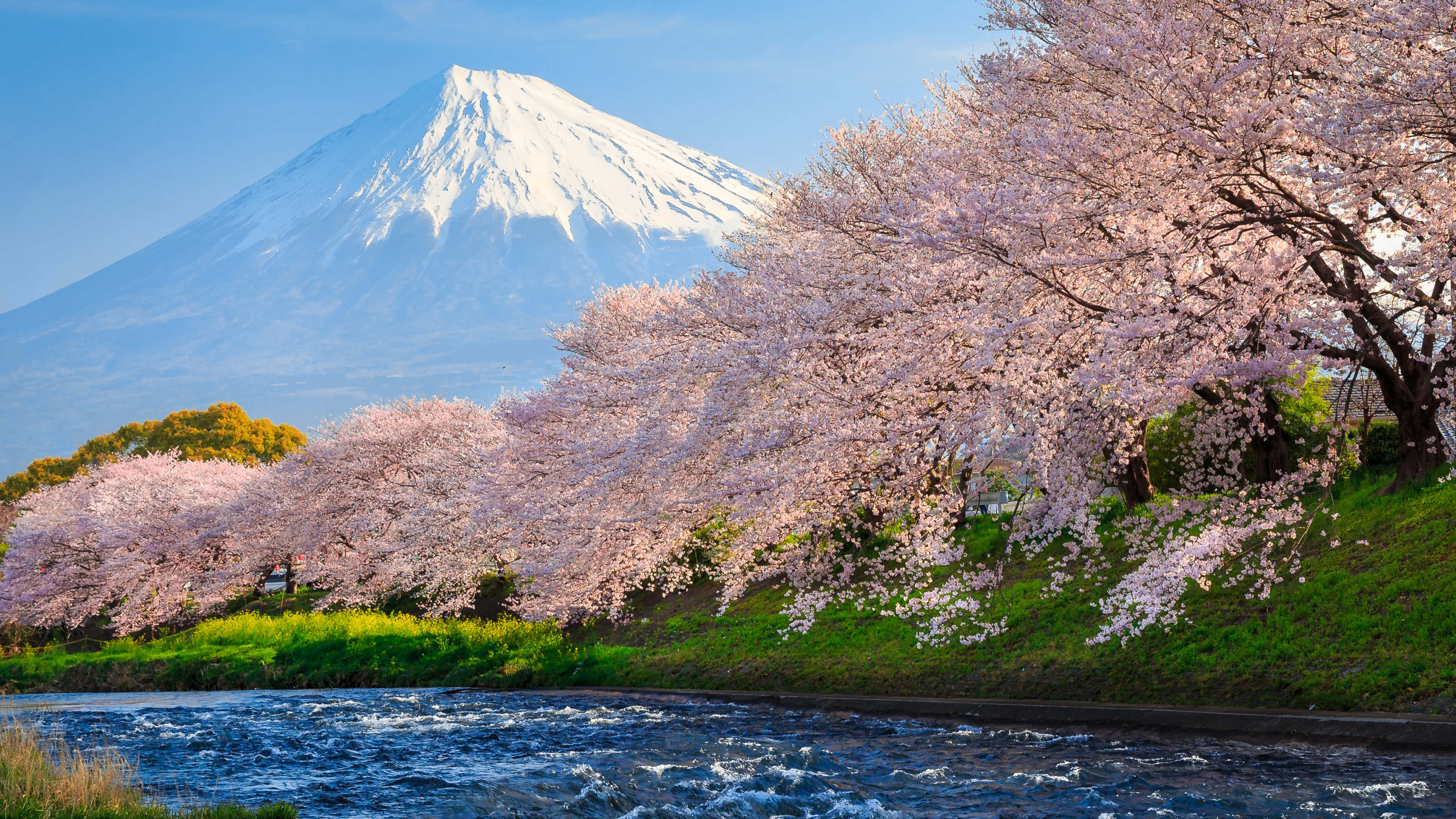 Henkeäsalpaava näkymä perinteisistä taloista ja vehreydestä Japanin maaseudulla Taustakuvat