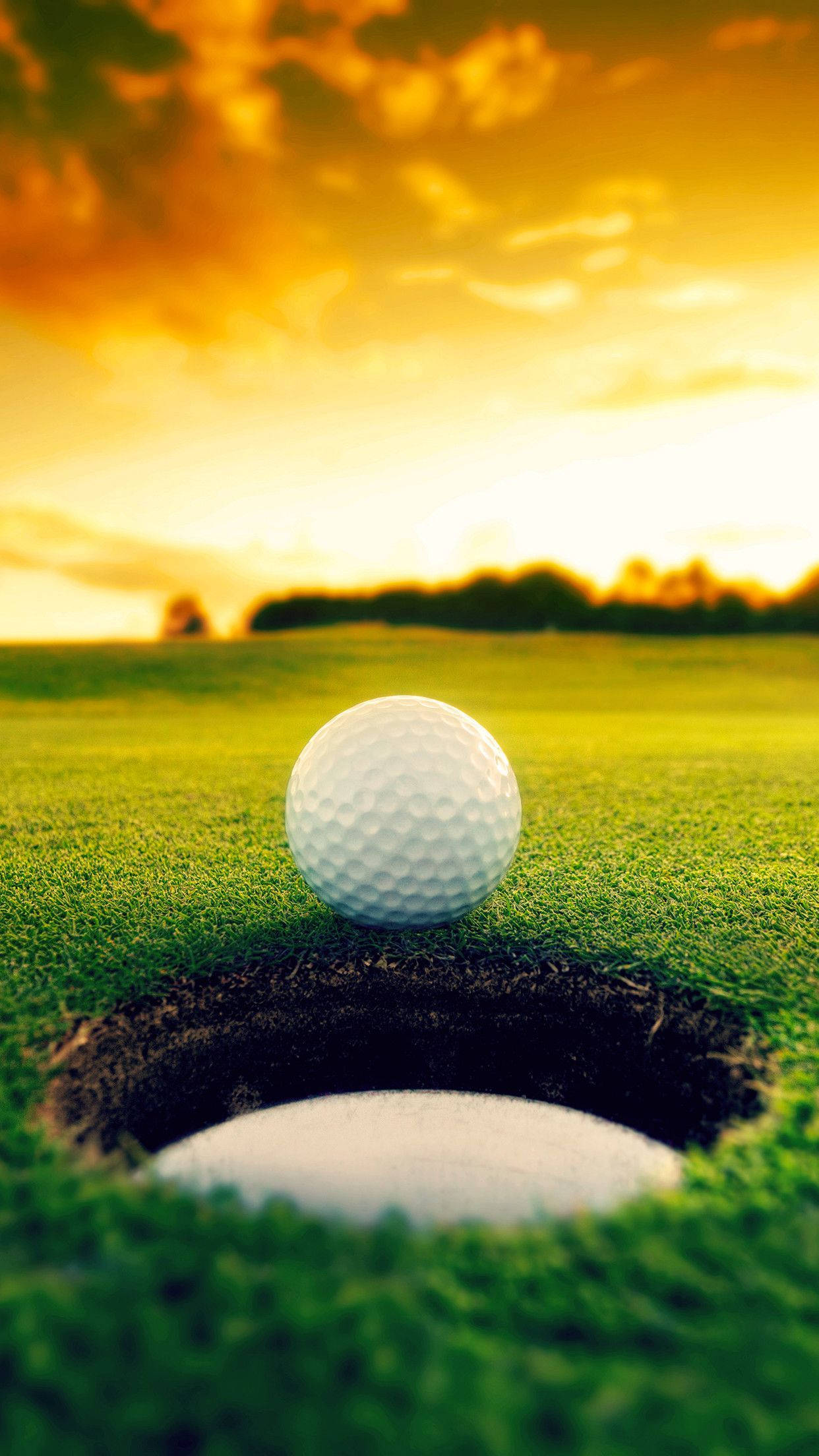 Hieno golfpallo maalin vierellä Taustakuvat