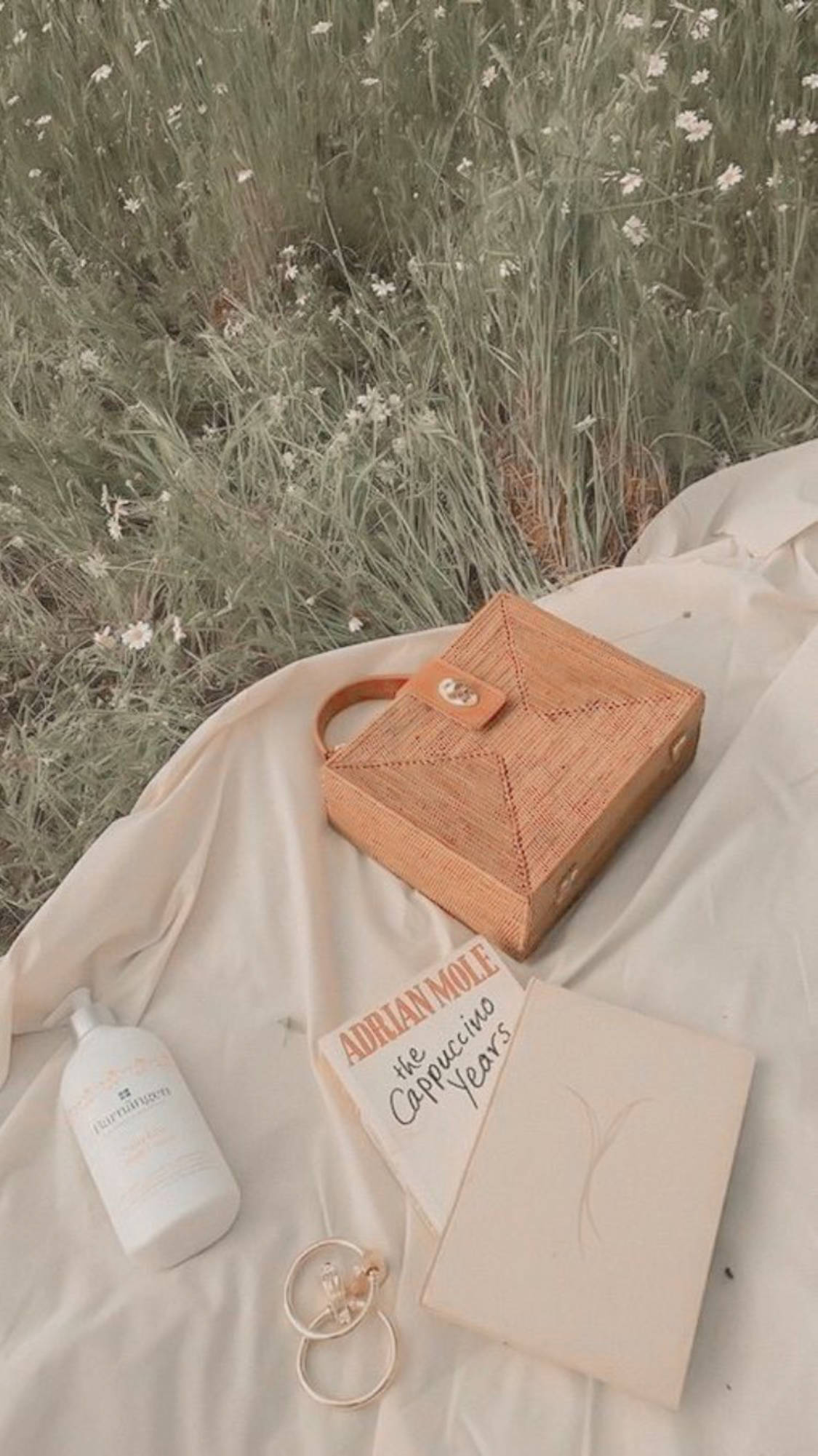 Hienostunut eleganssi - Beige esteettinen laukku ja kirja Taustakuvat