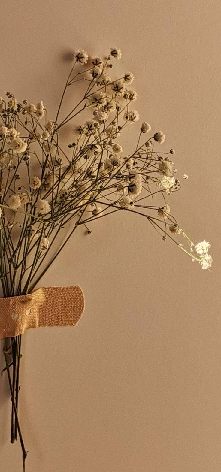 Hienostunut kukka beige estetiikka Taustakuvat