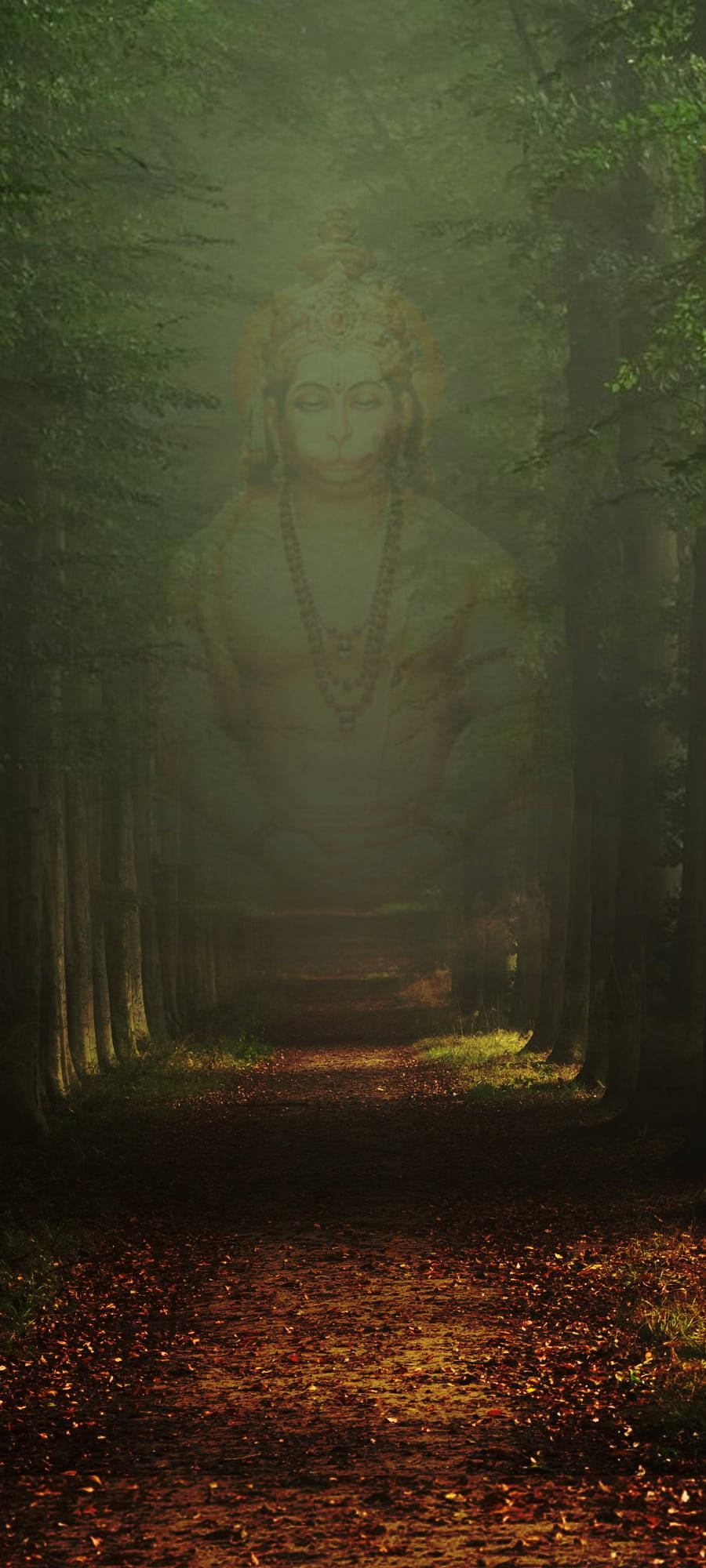 Hindujumala Hanumanin ilmestys Taustakuvat