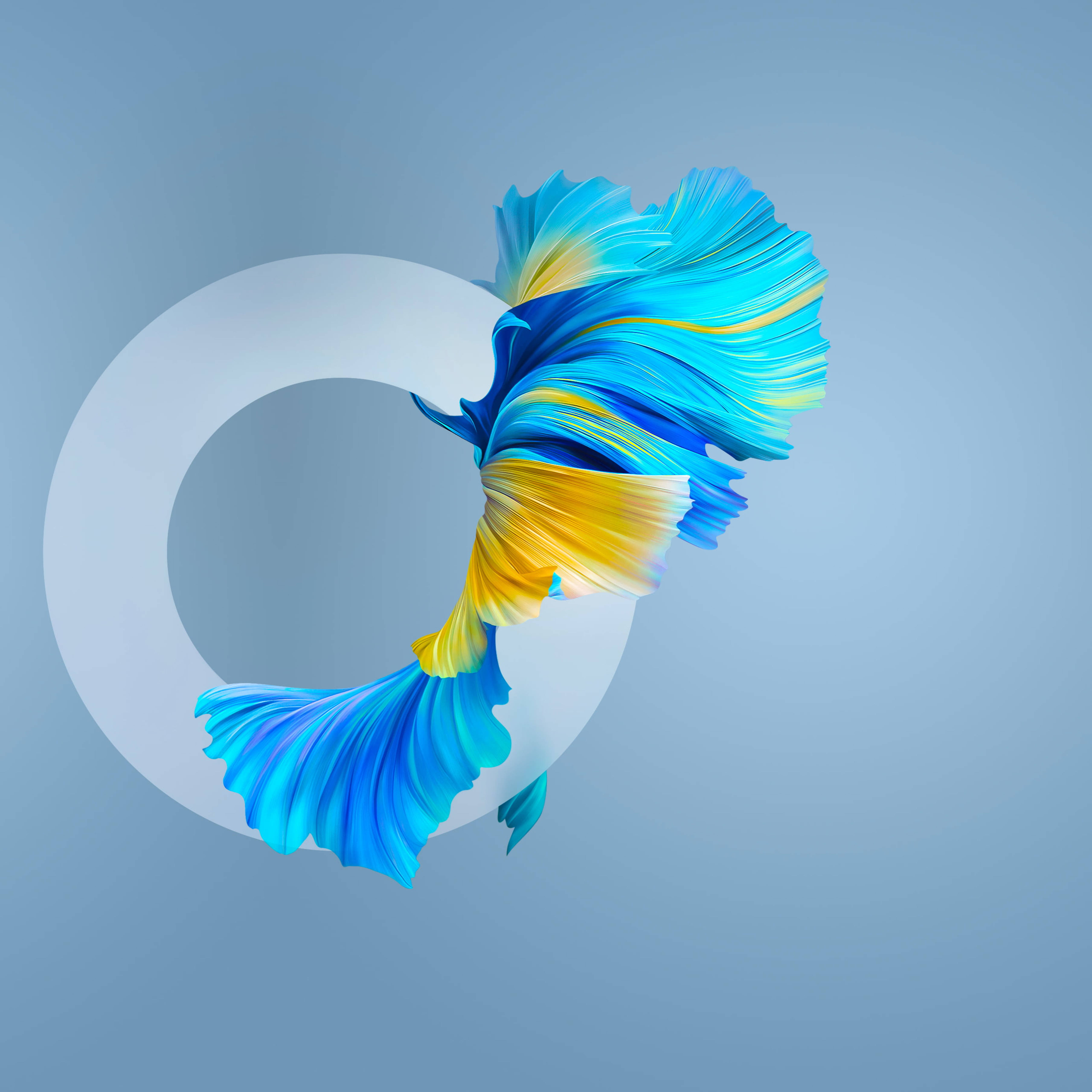 Huawei Mate 40 Pro Fish Taustakuvat