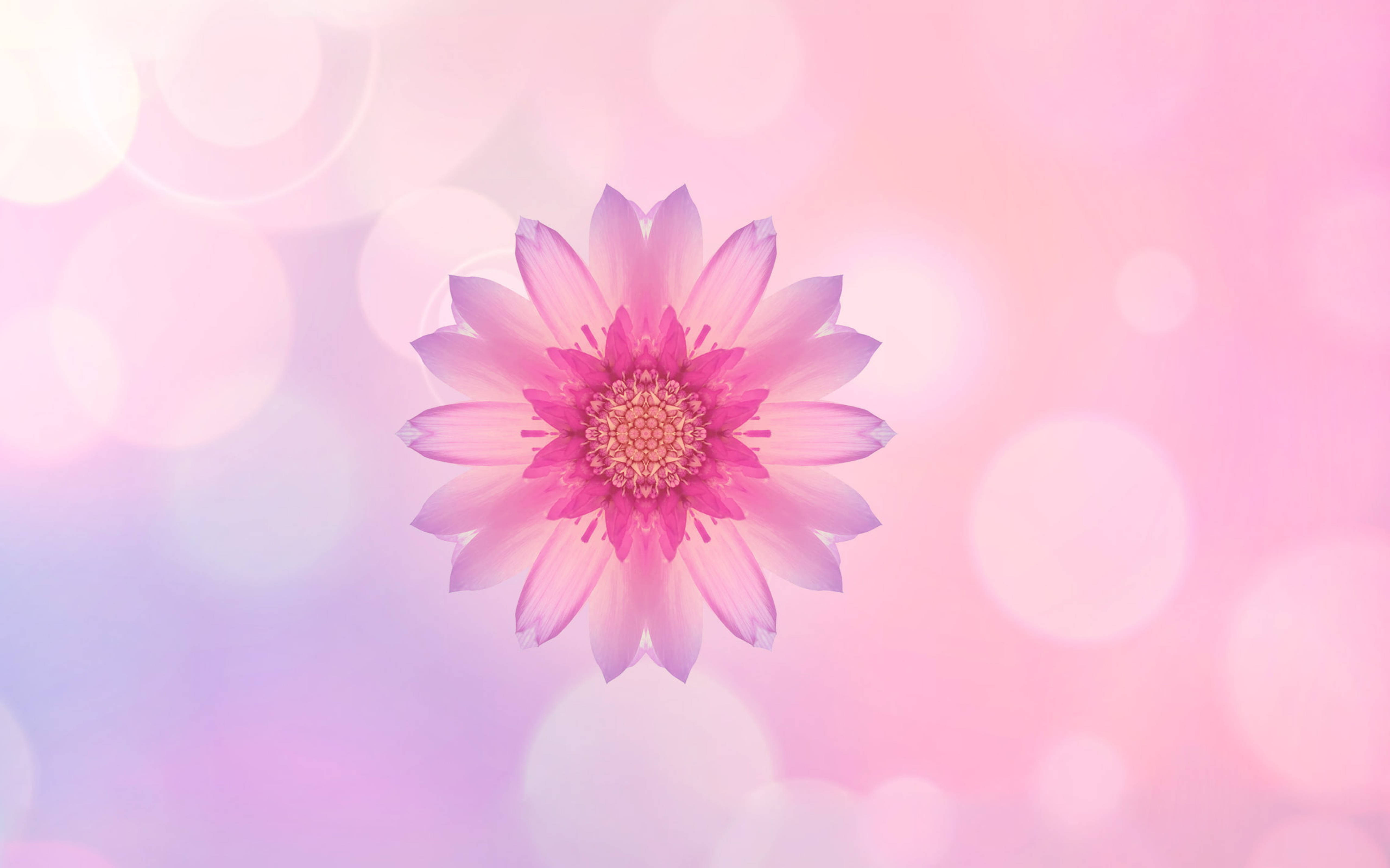 Huawei Pink Flower Taustakuvat