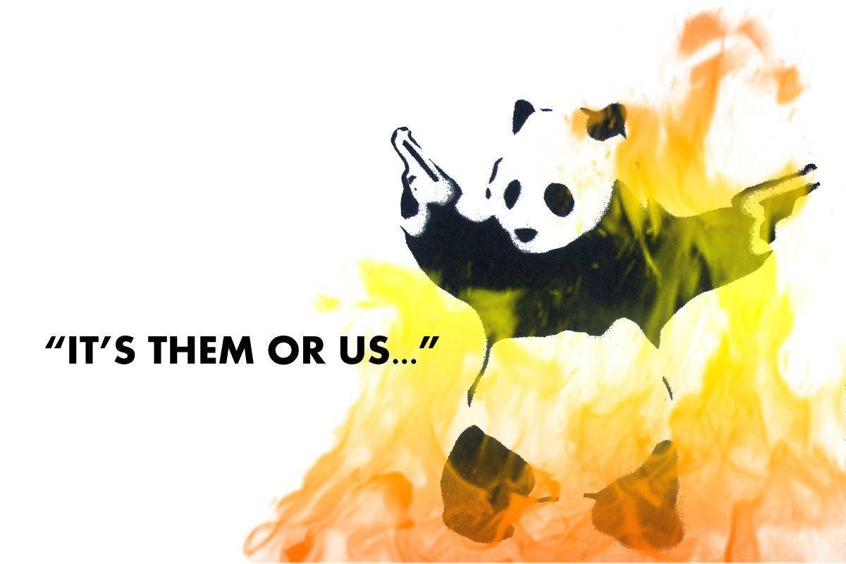 Hullu Panda Liekit Meemi Taustakuvat