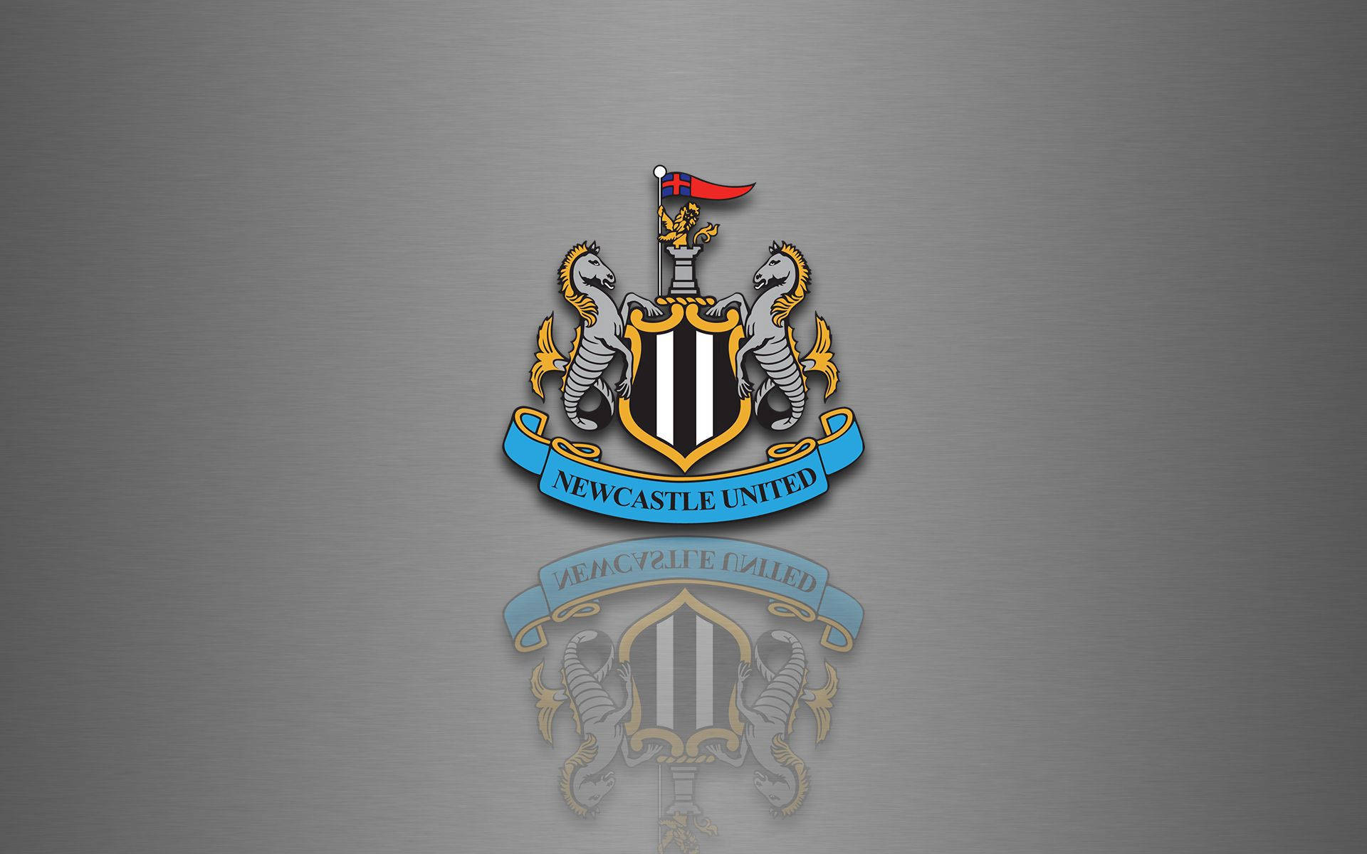 Newcastle United Football Club -logo harmaa työpöydän taustakuva.