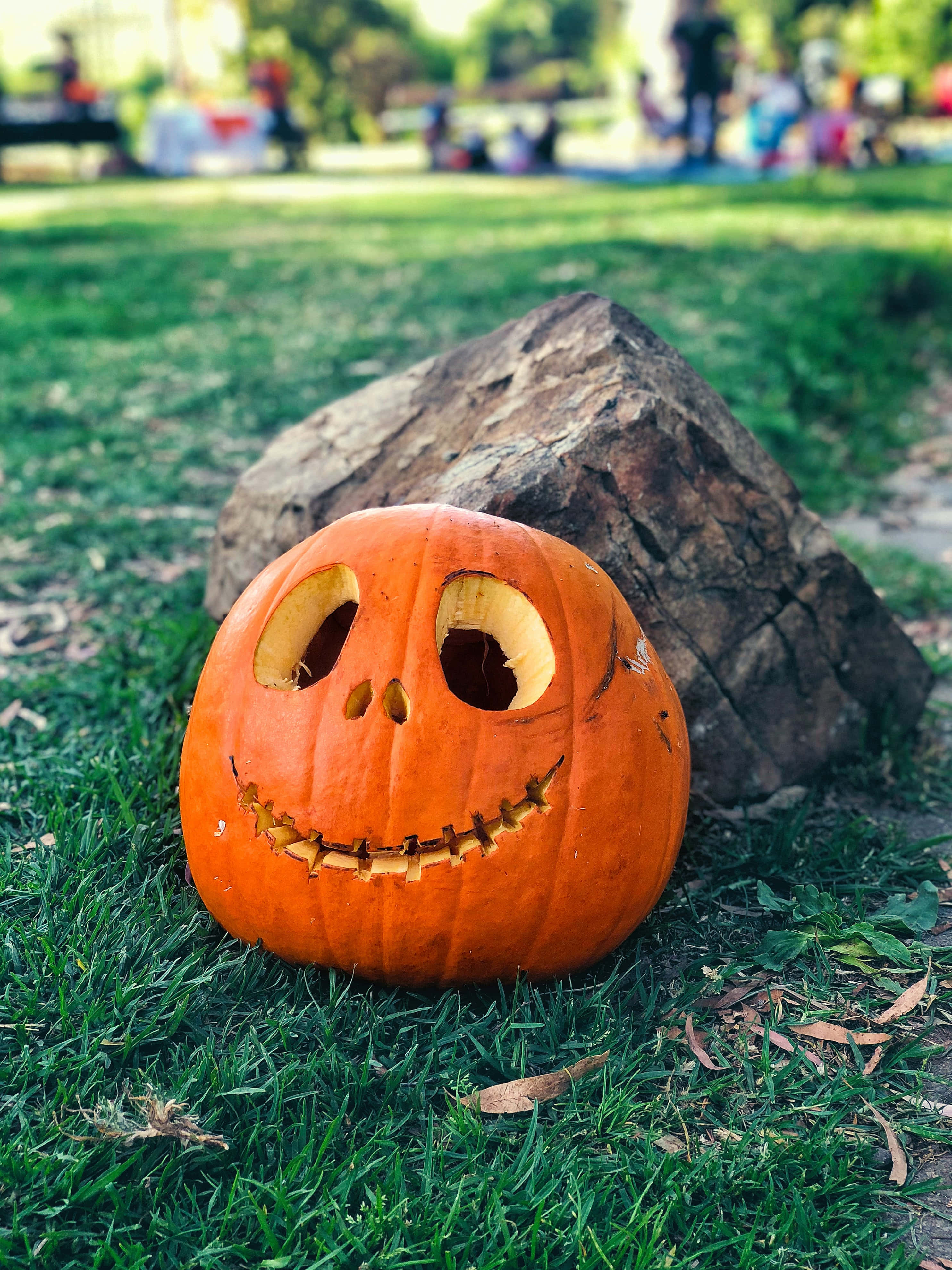 Hymyilevä kurpitsalyhty korkearesoluutioinen Halloween-taustakuva Taustakuvat