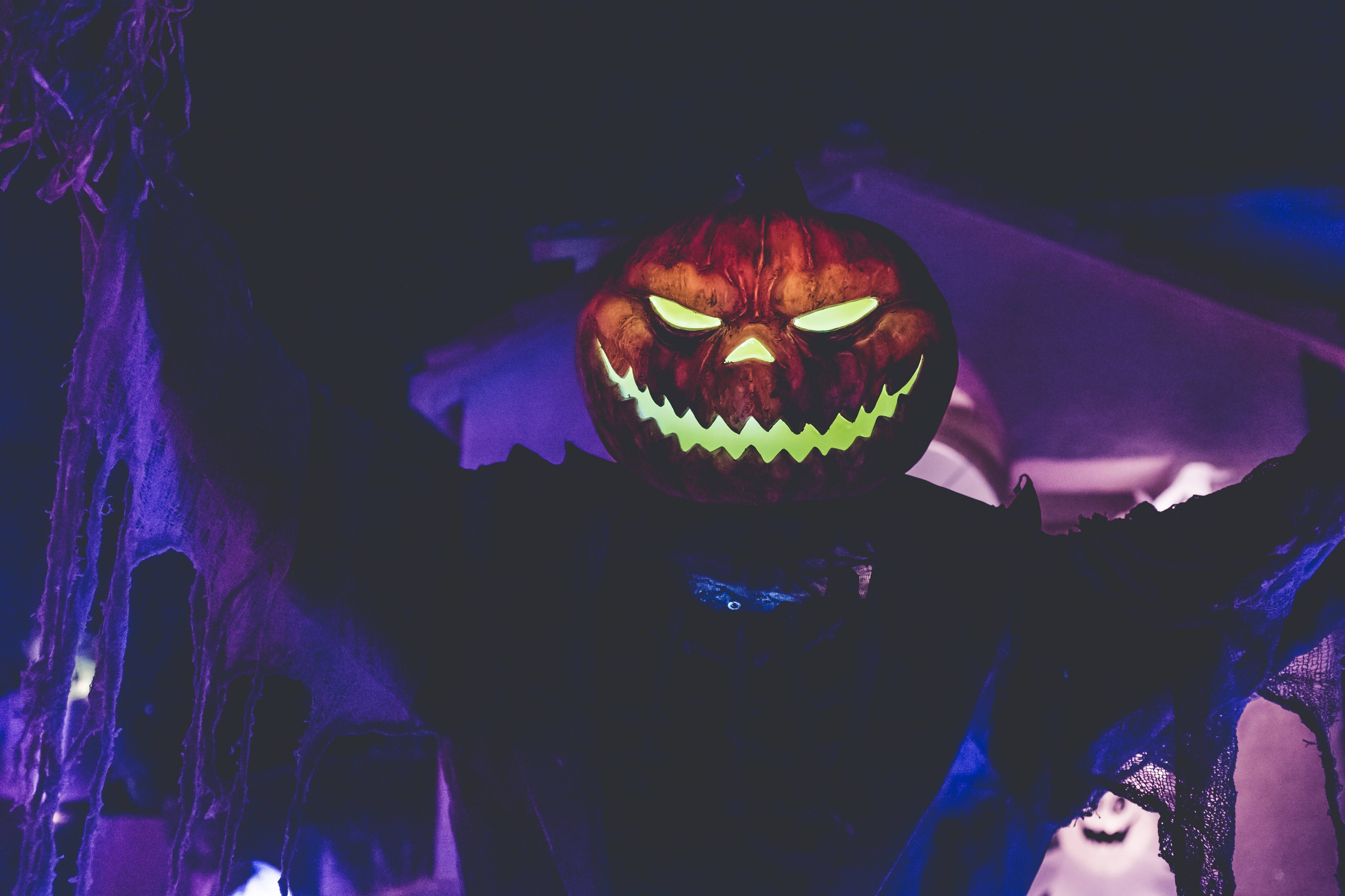 Iloinen kurpitsapää halloweeniin Taustakuvat