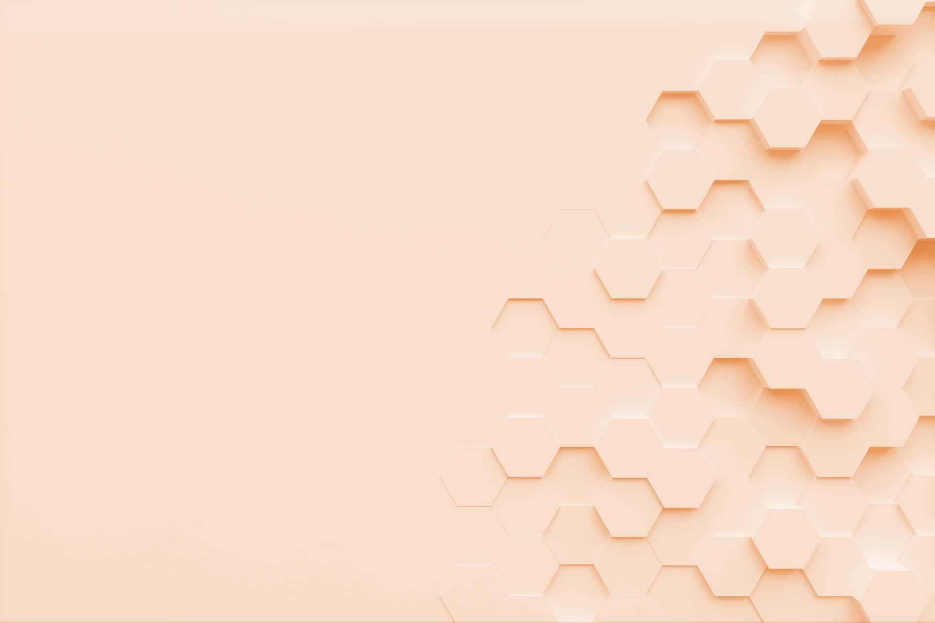 Beige estetiikka kuvia — Beige estetiikka GIF Taustakuvat