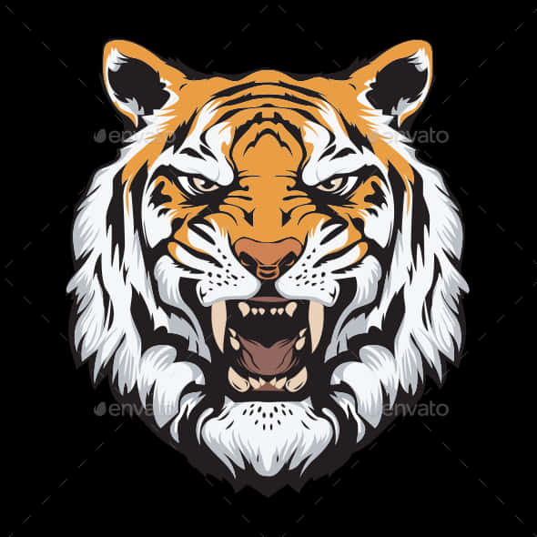 Intense Tiger Face - Vektori taide Taustakuvat