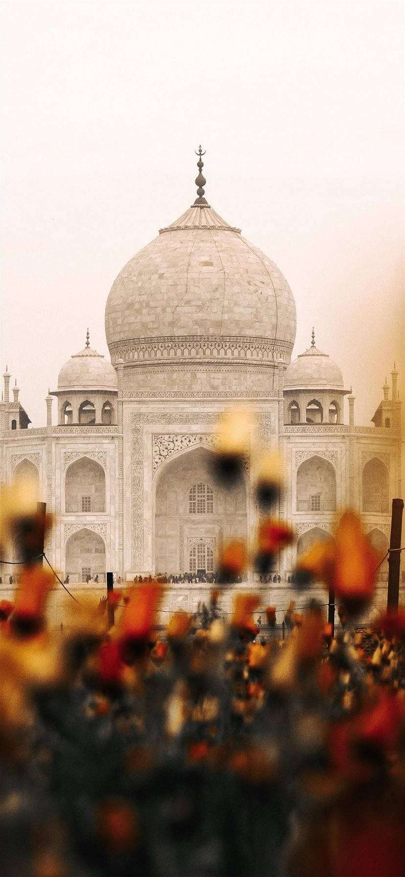 Intialainen Esteettinen Taj Mahal Kukat Taustakuvat