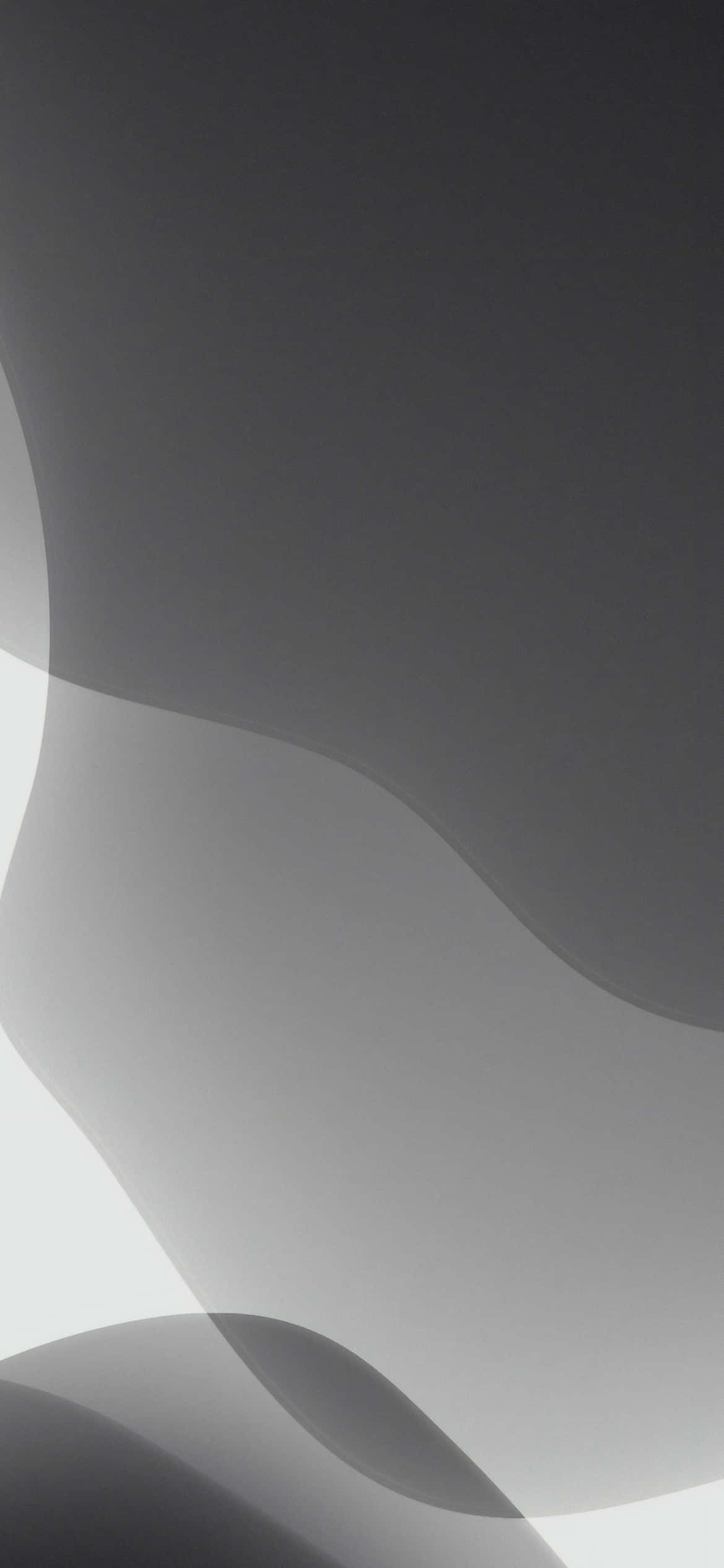 iOS 13 vaaleanharmaa abstrakti tausta Taustakuvat