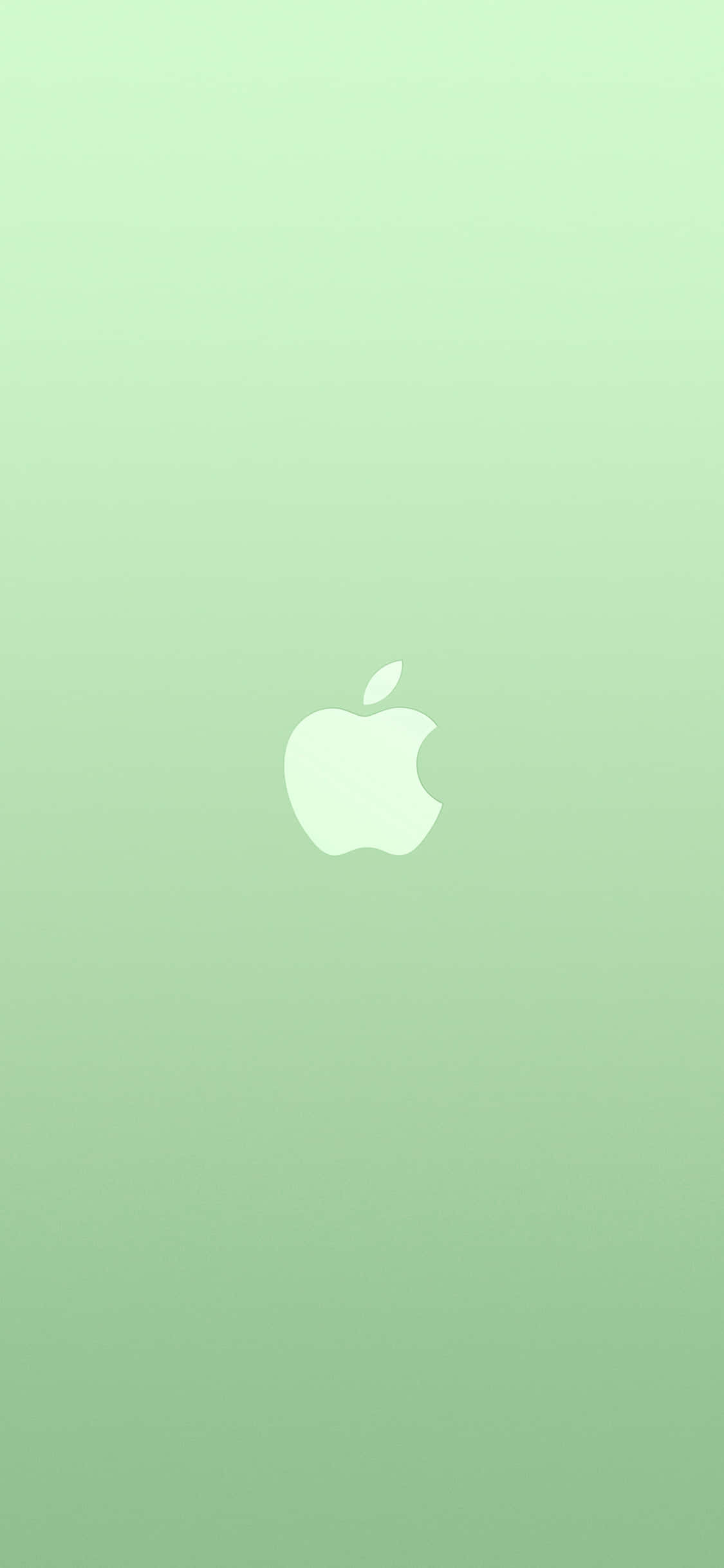 iPhone 11 Apple-logo vihreällä taustalla Taustakuvat