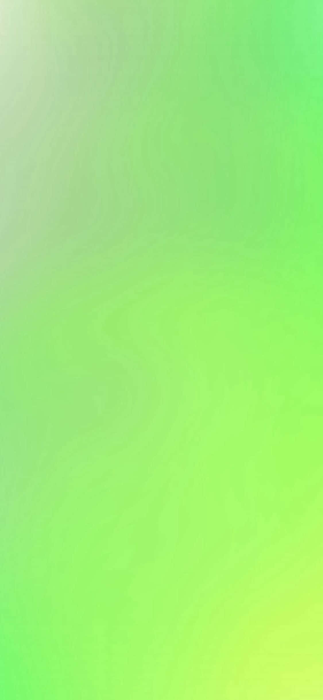 iPhone 11 virkistävä vihreä Taustakuvat