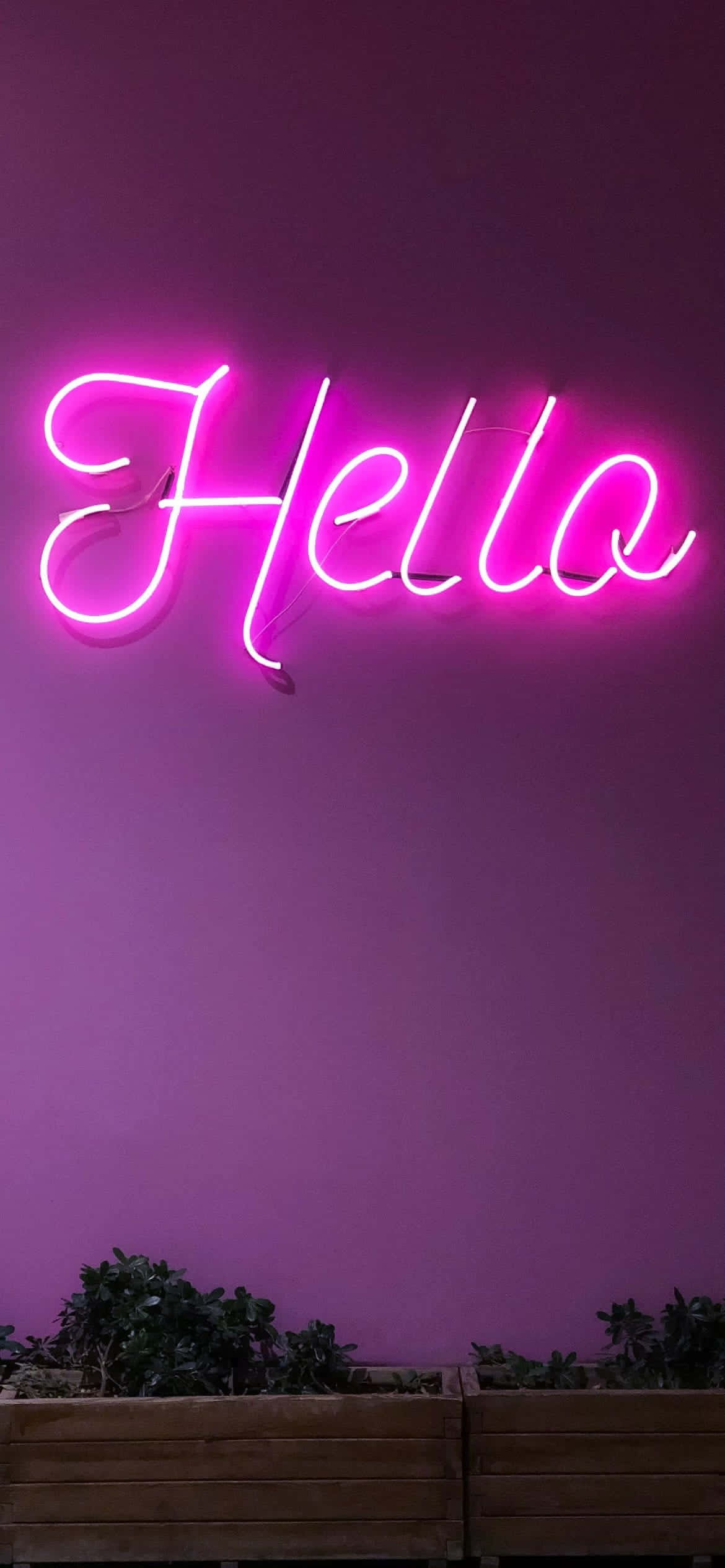 iPhone laventeli esteettinen neonpinkki Taustakuvat