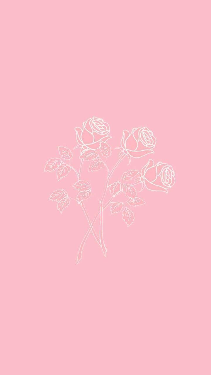 iPhone Pink Aesthetic Ruusut Taustakuvat