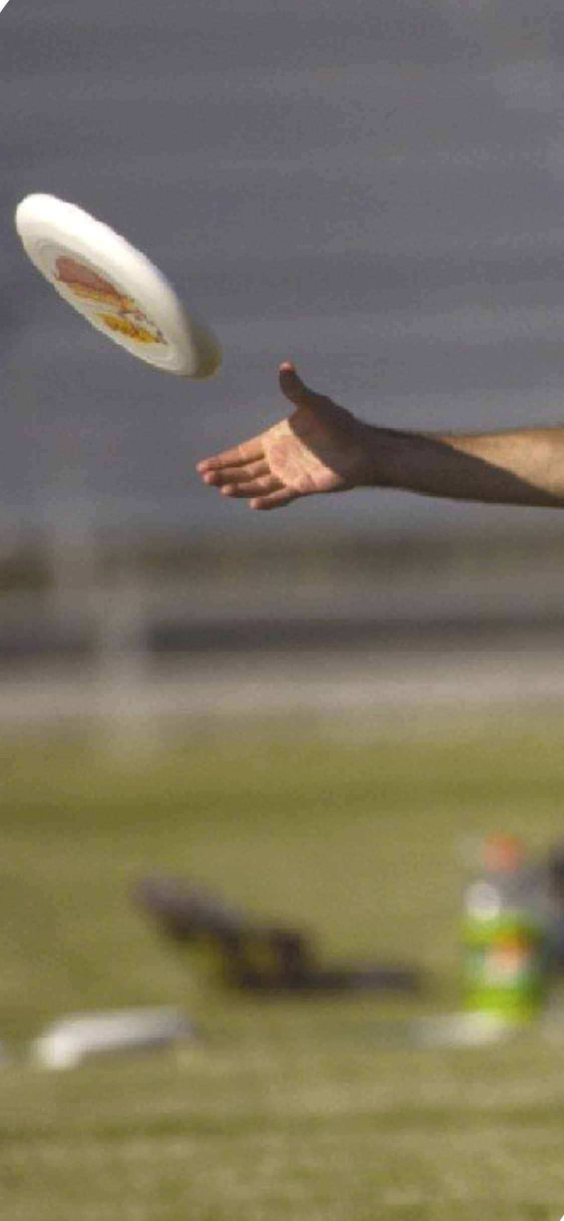 iPhone X Ultimate Frisbee -tausta Kädellä Kiinniottaminen Taustakuvat
