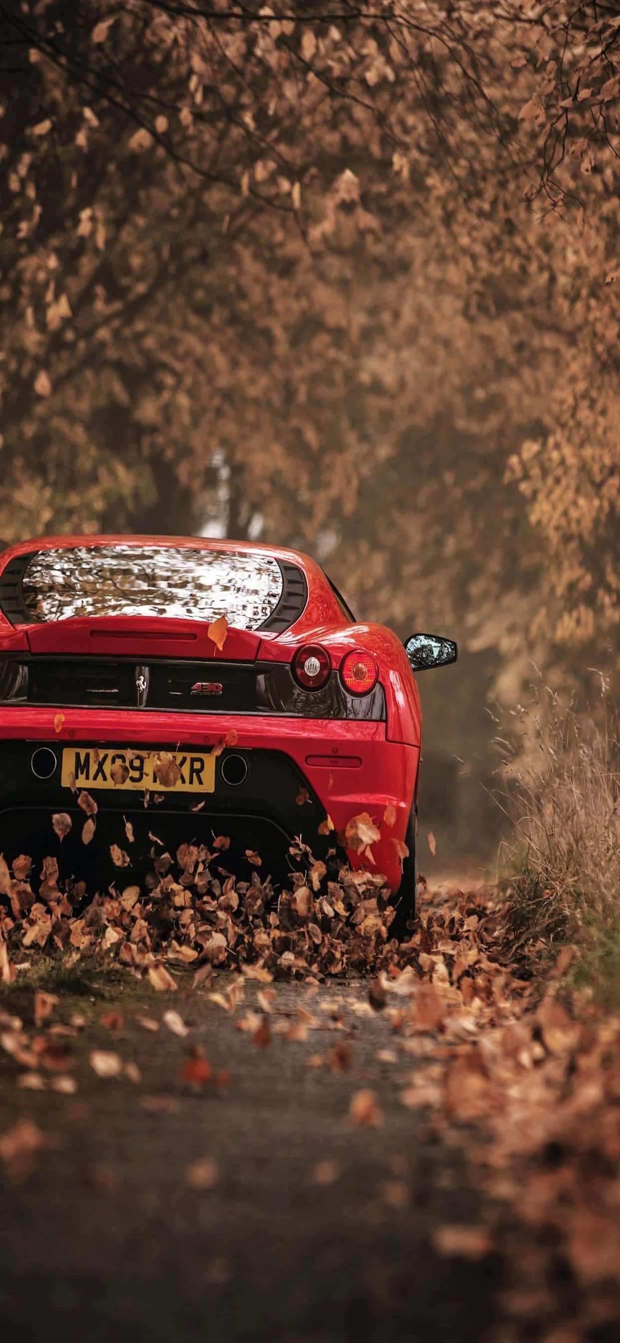 iPhone Xs Max Ferrari Taustakuva Punainen Ferrari F430 Kuivat Lehdet Taustakuvat
