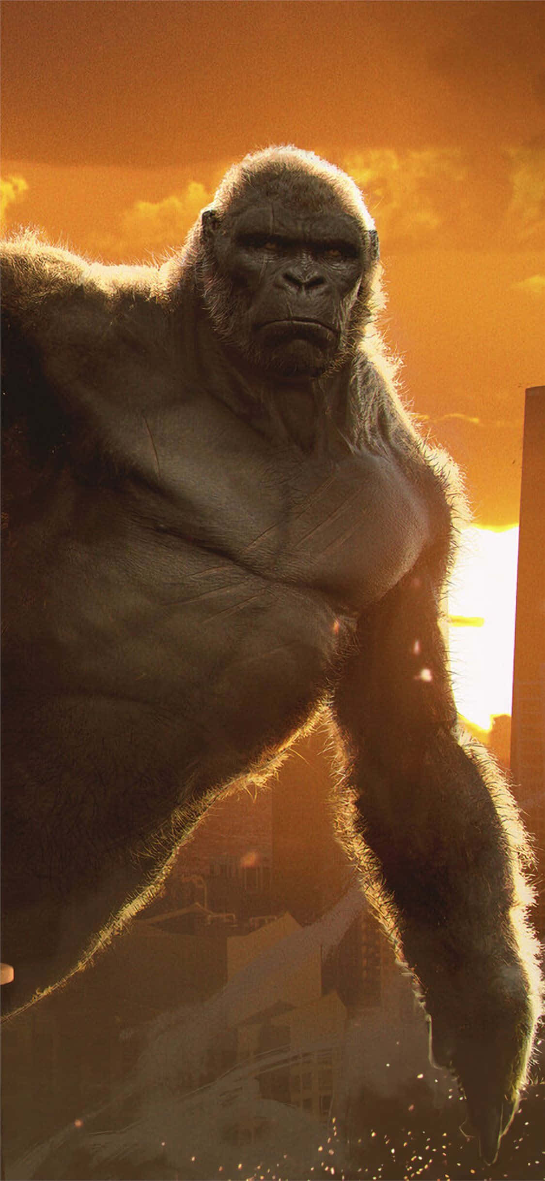 iPhone Xs Max -gorillatausta elokuvasta King Kong Taustakuvat