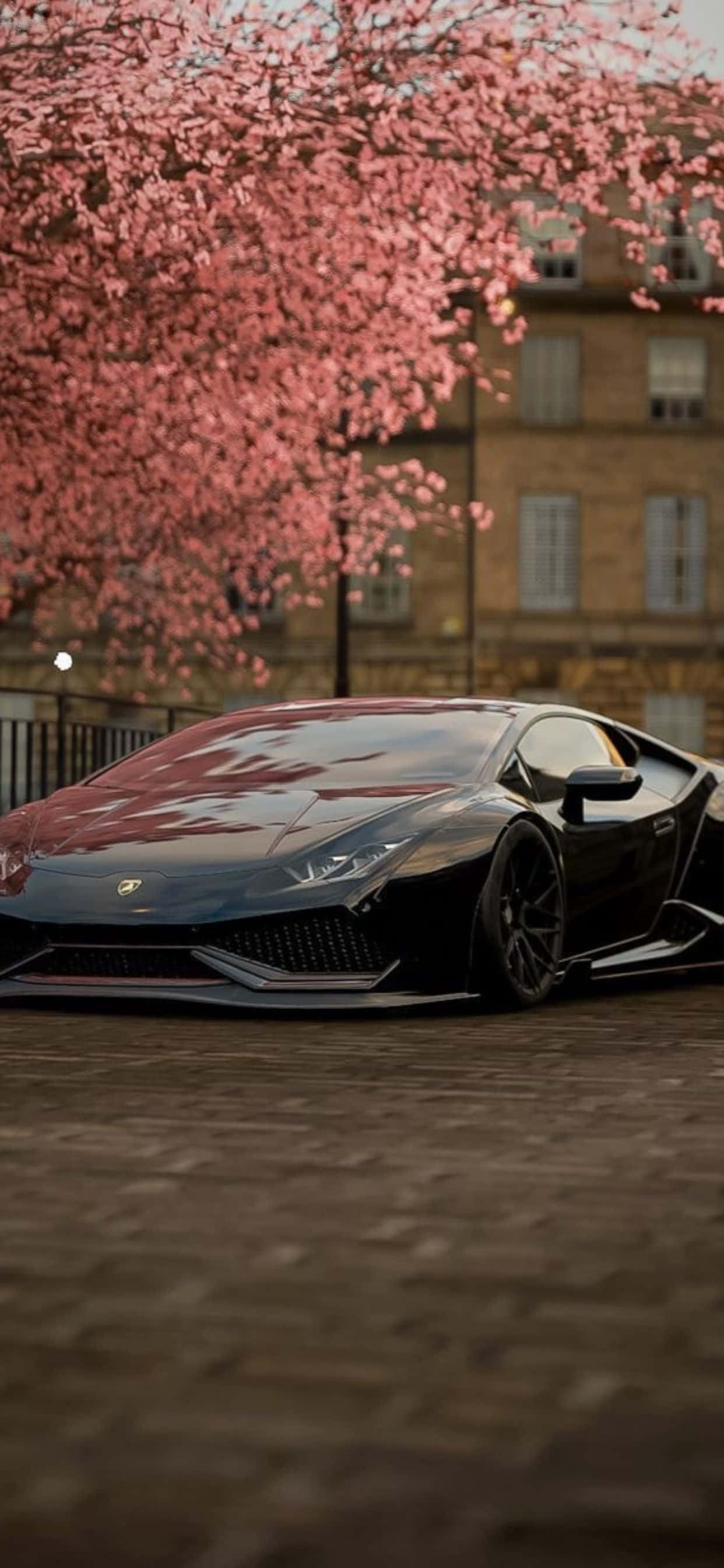 iPhone XS Max Lamborghini Kirsikankukka Tausta Taustakuvat