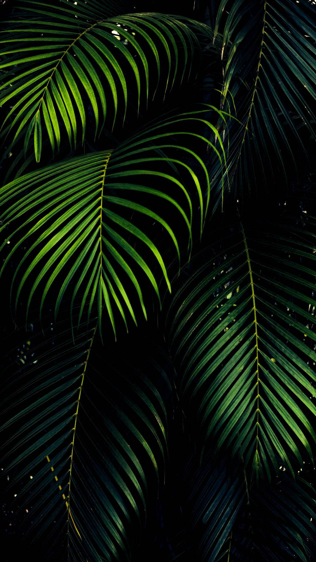 iPhone XS Max OLED 3D Palmunlehdet