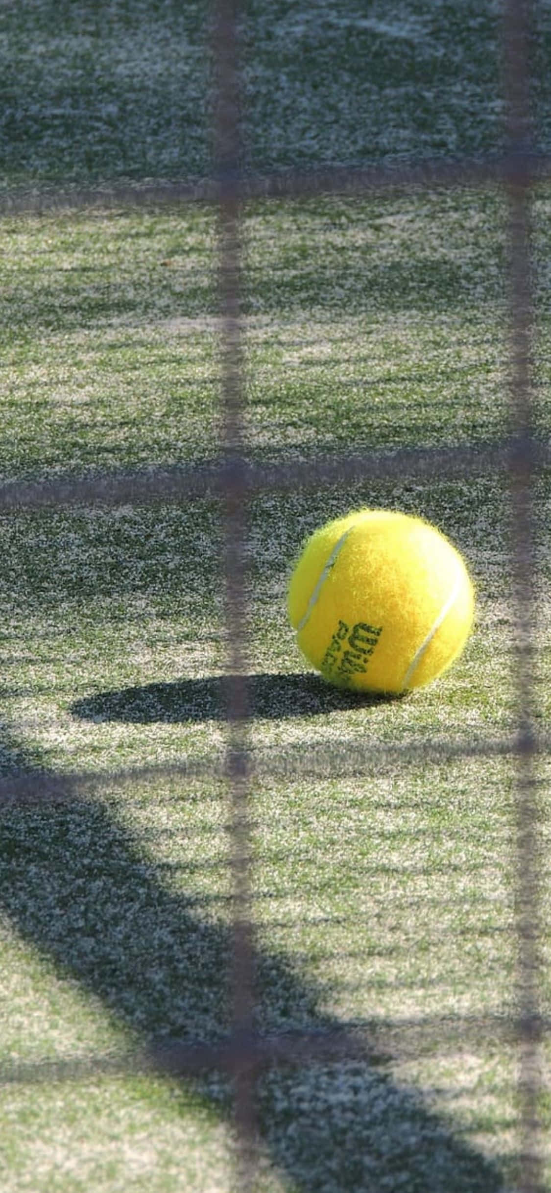 iPhone Xs Tennis Tausta Taustakuvat