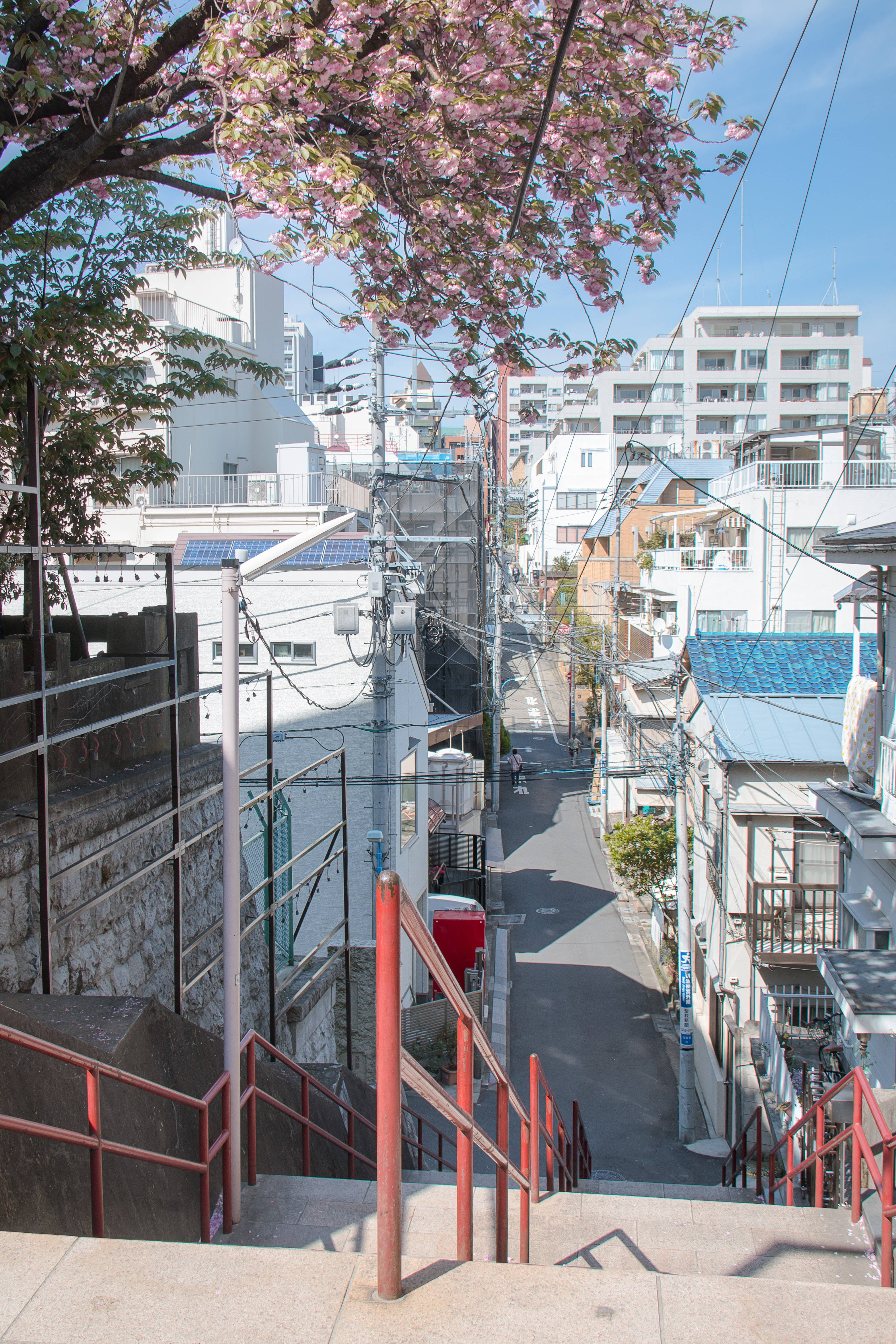 Japanilainen HD Suga Jinja -pyhäkön portaikko Taustakuvat