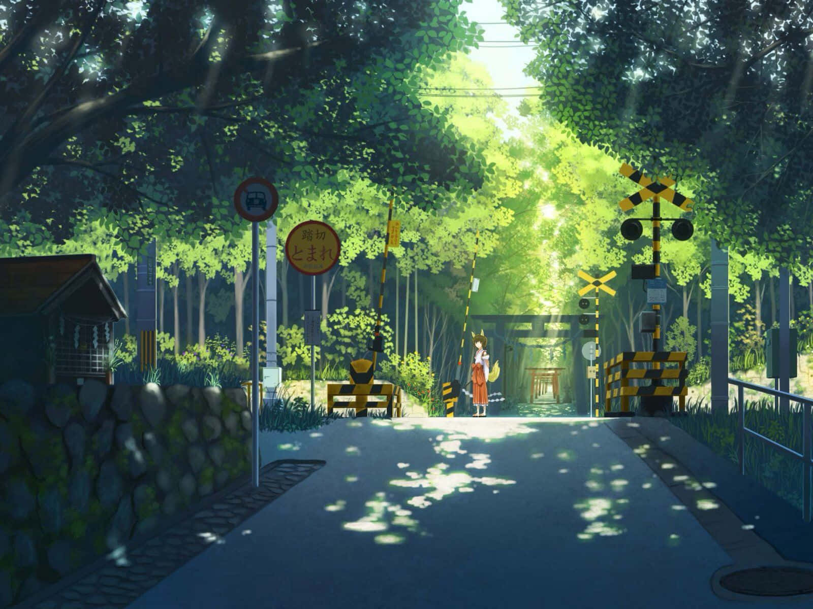 Japanilainen vihreä animekatu Taustakuvat
