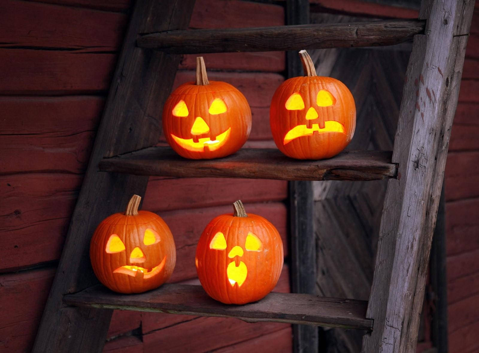 Juhli halloweenia hauskoilla ja humoristisilla kurpitsoilla Taustakuvat
