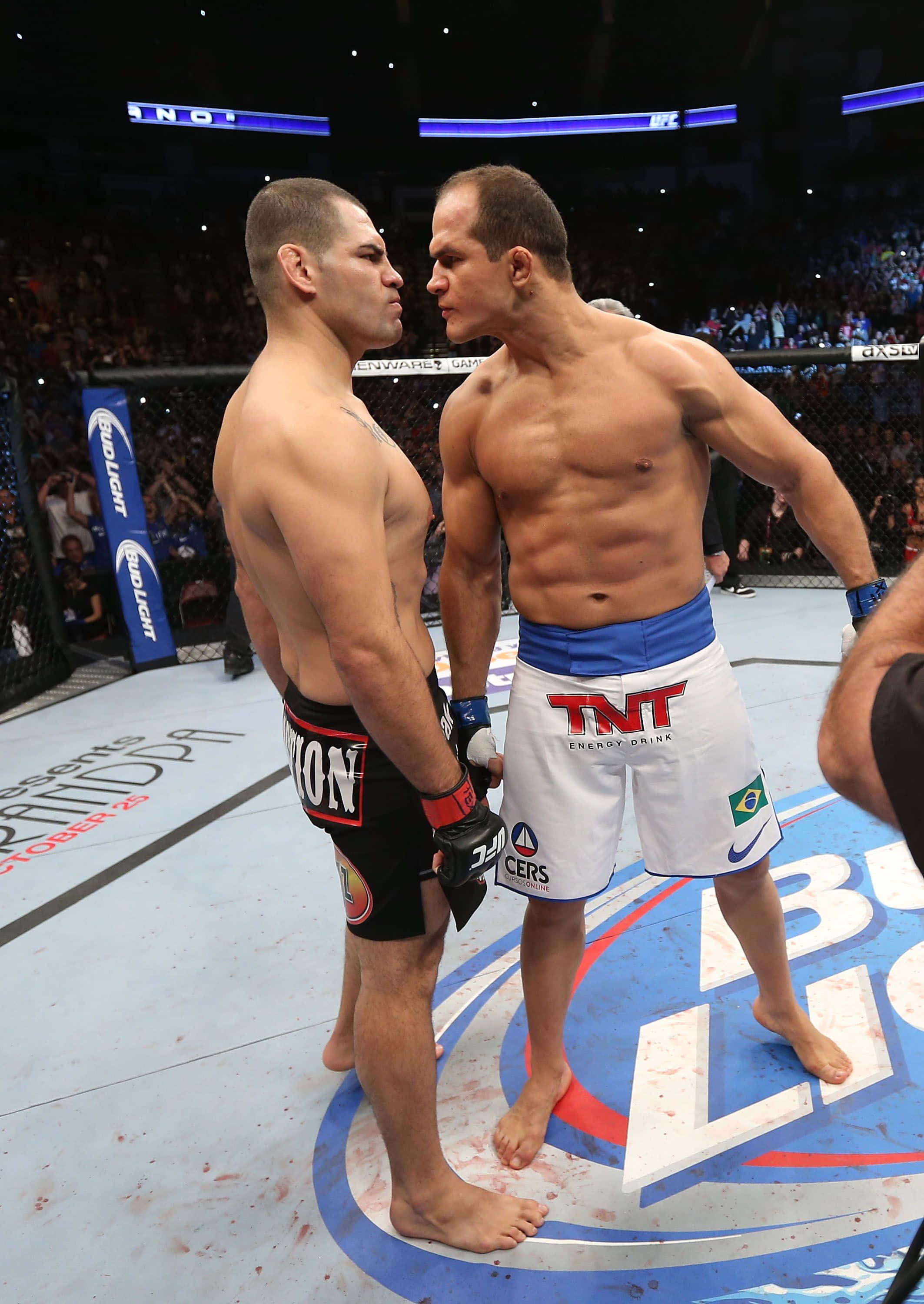 Junior Dos Santos UFC On Fox 1 Taustakuvat