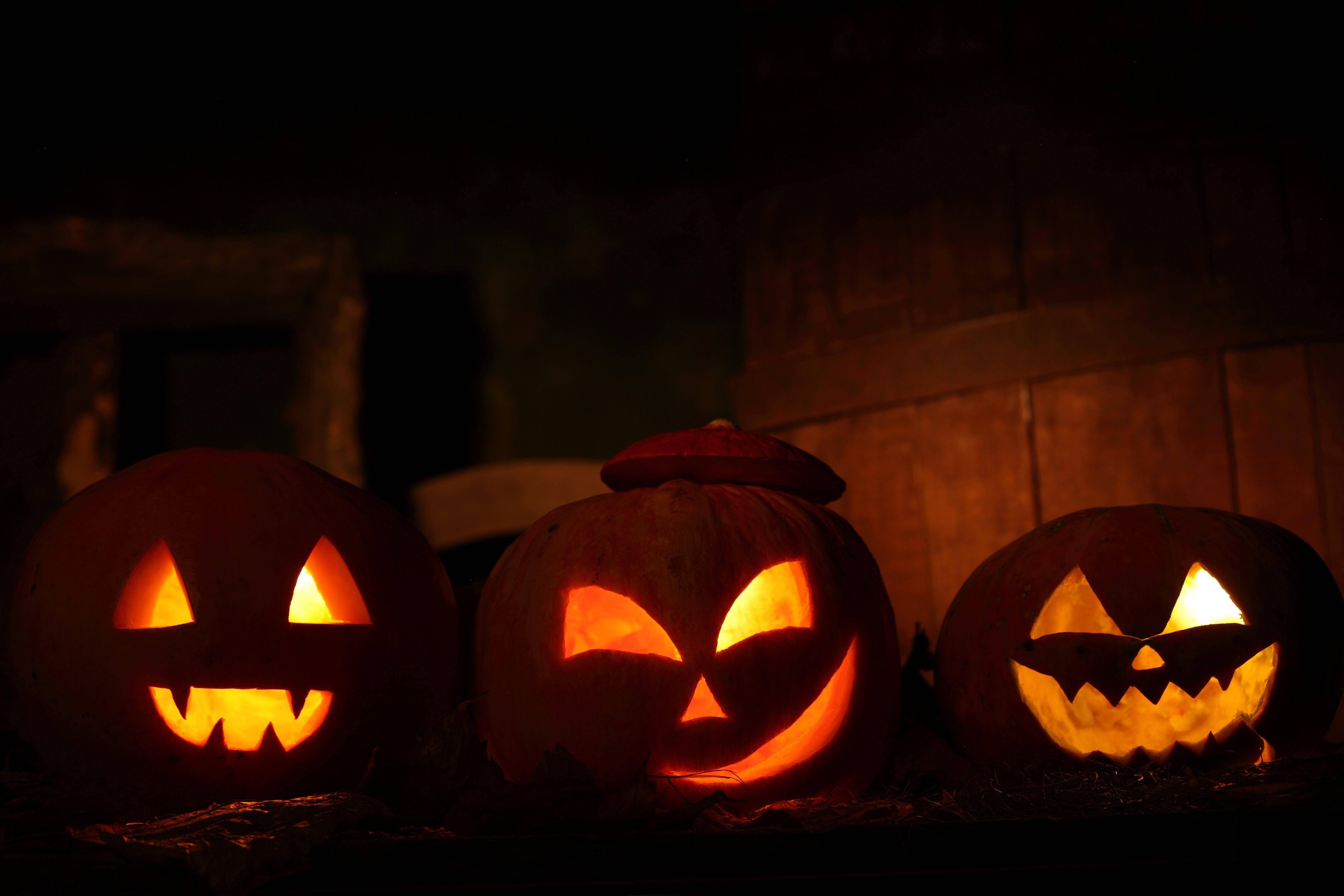 Juuri ajoissa halloweeniin, kaiverretut kurpitsat täysikuun valaisemina Taustakuvat