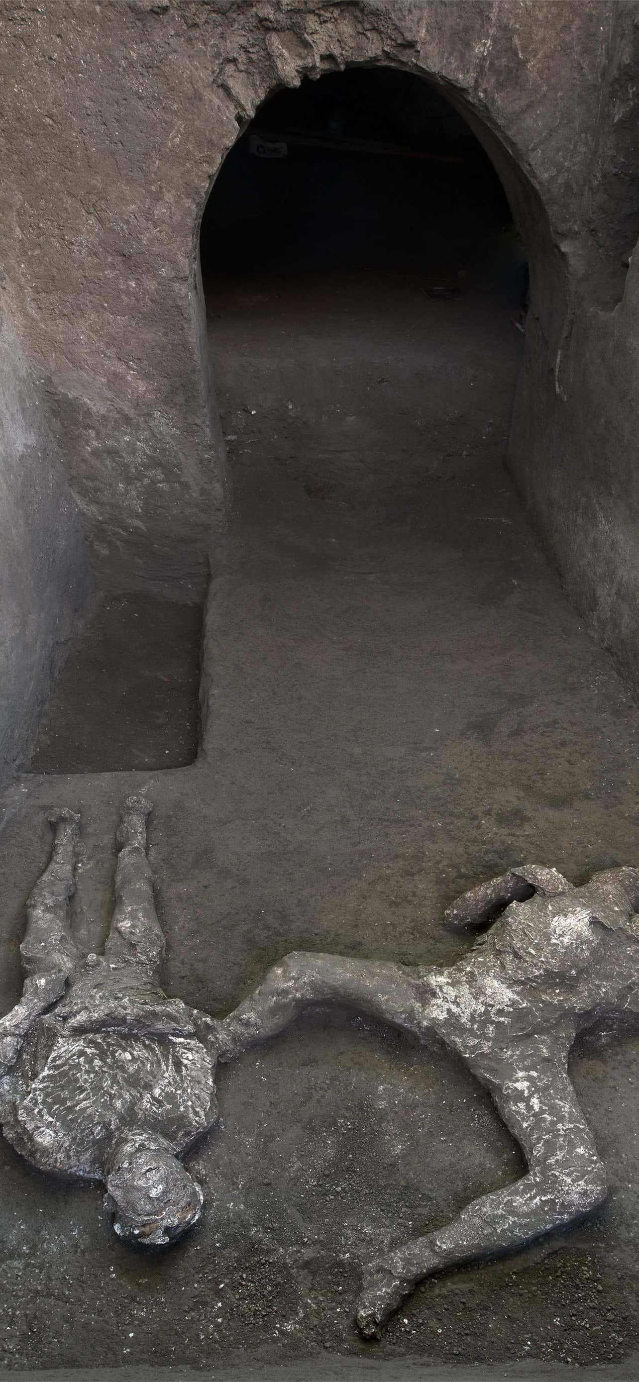 Pompejista kaivetut ihmisruumiit Taustakuvat