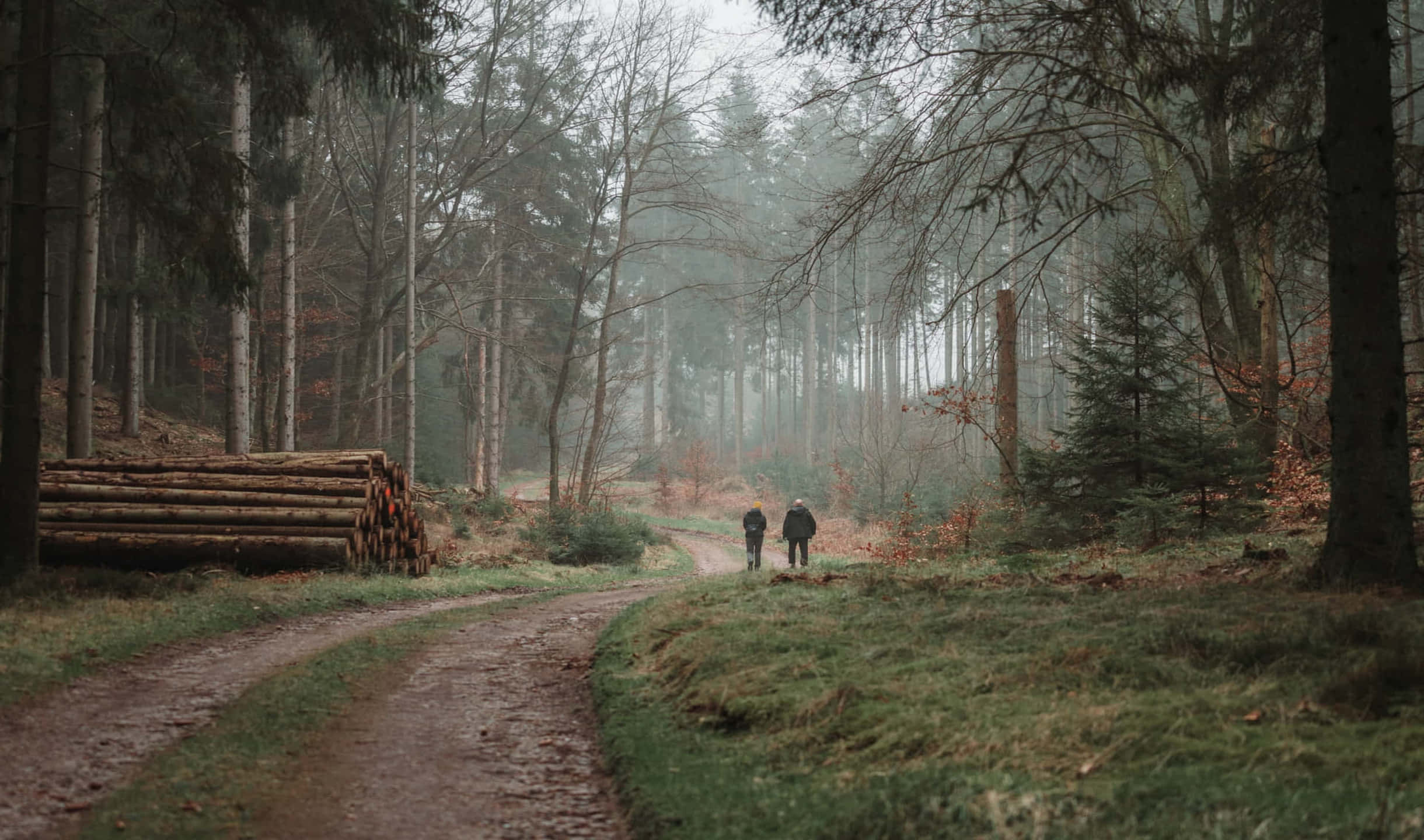 kaksi ihmistä kävelemässä metsän hiekkatiellä Taustakuvat