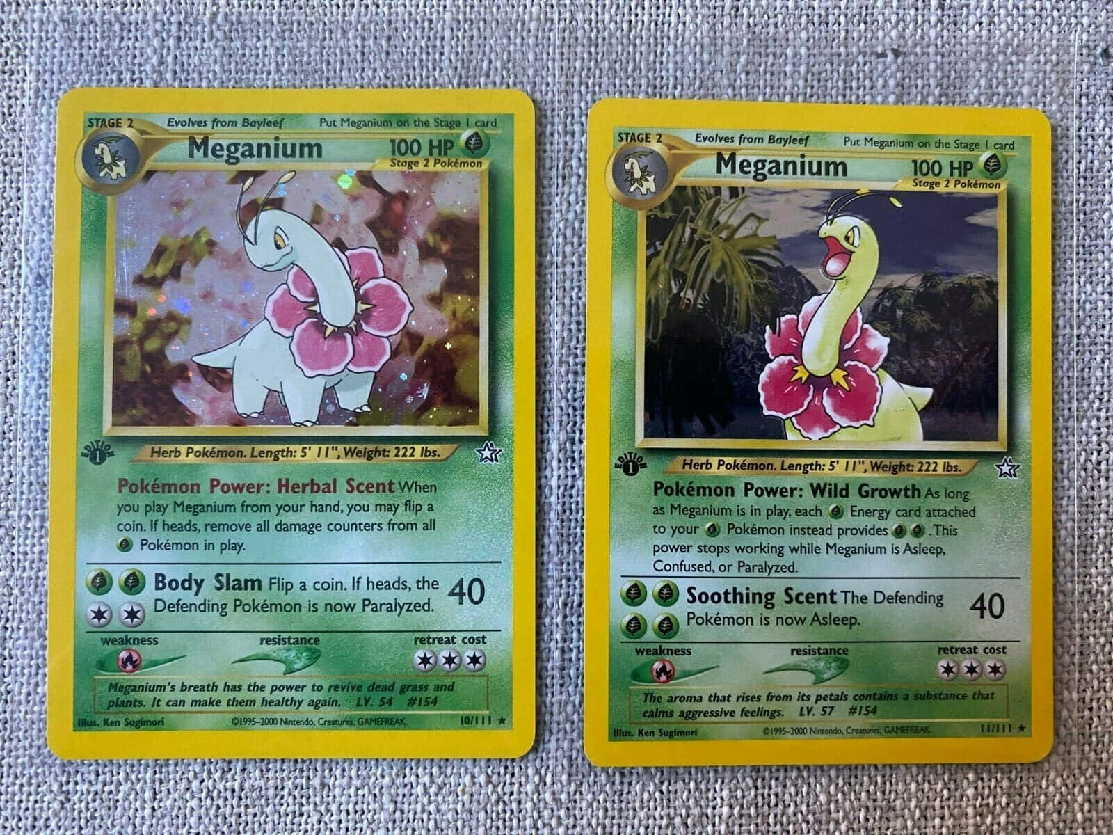 Kaksi Meganium-pokemonkorttia Taustakuvat