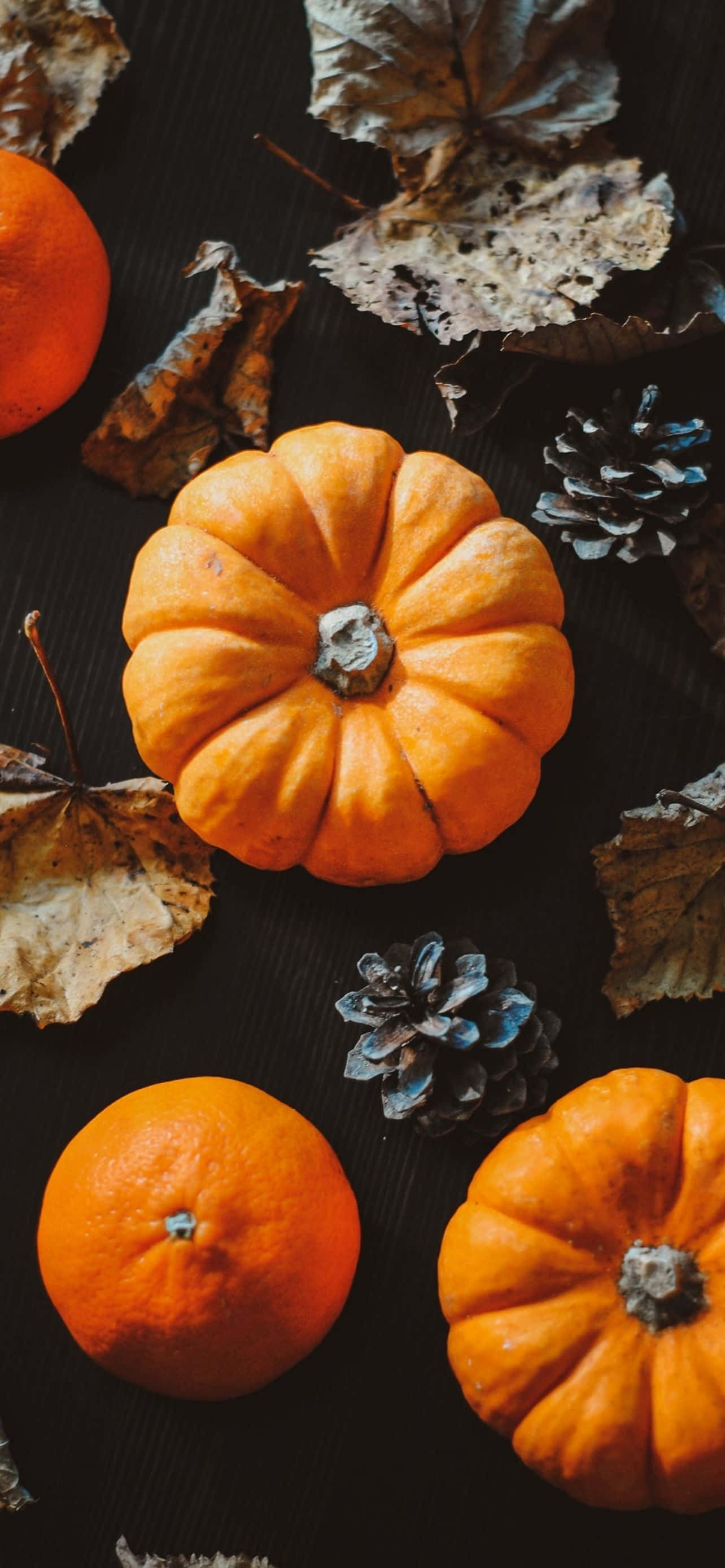 Kammottava Kuutamoinen Halloween iPhone Taustakuva Taustakuvat