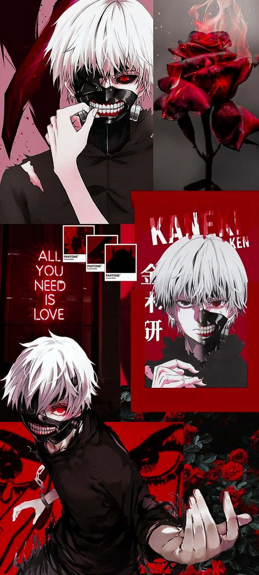 Kaneki Ken taistelee oikeuden puolesta Tokyo Ghoulissa Taustakuvat
