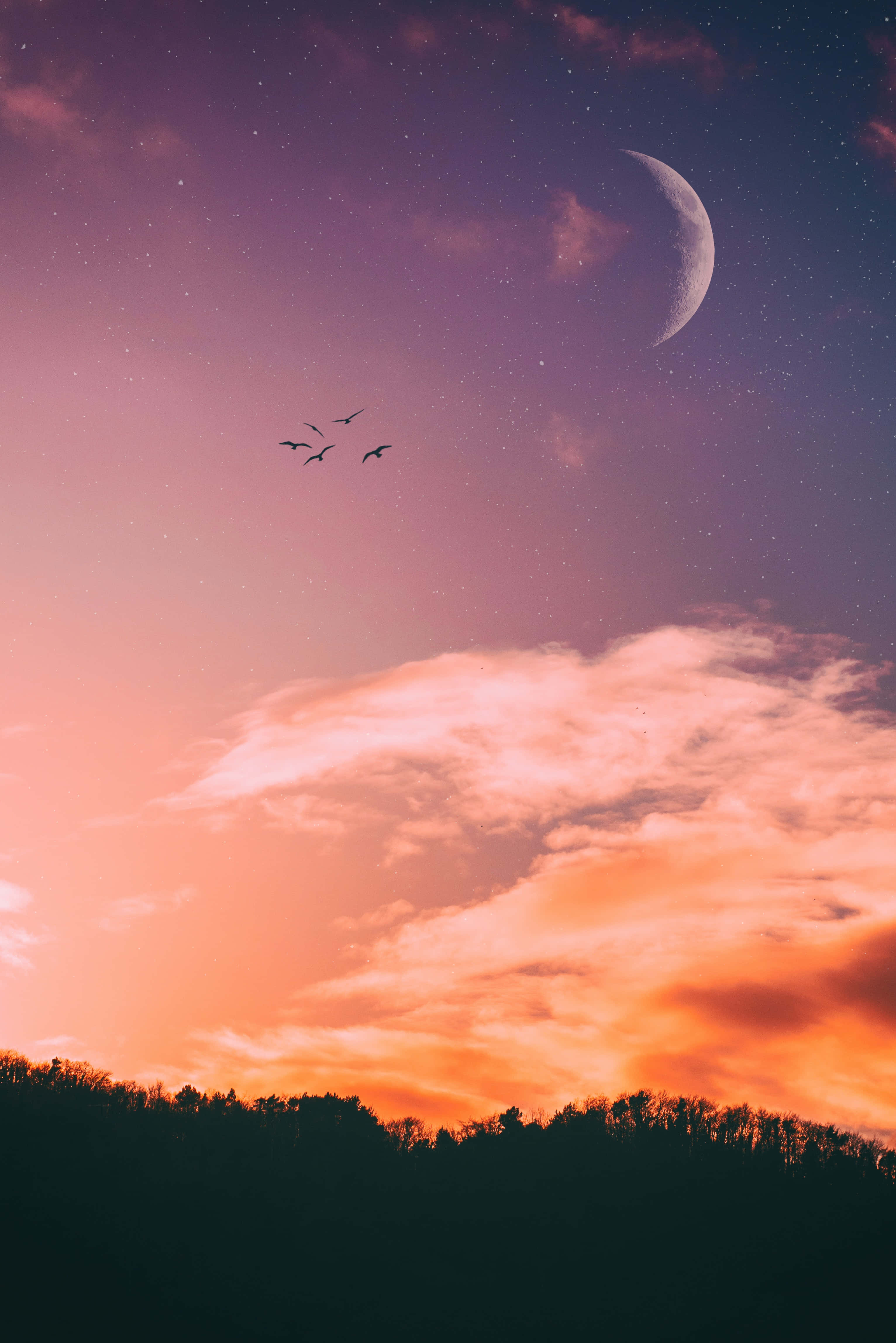 Kaunis Auringonlasku Taivas Kuva Taustakuvat