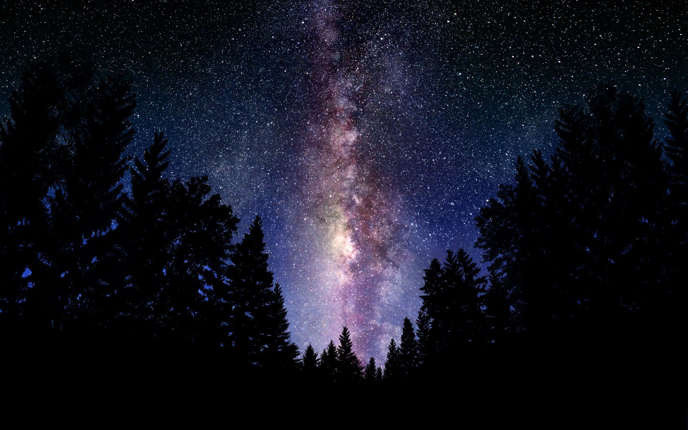 Kaunis galaksi pimeässä metsässä Taustakuvat