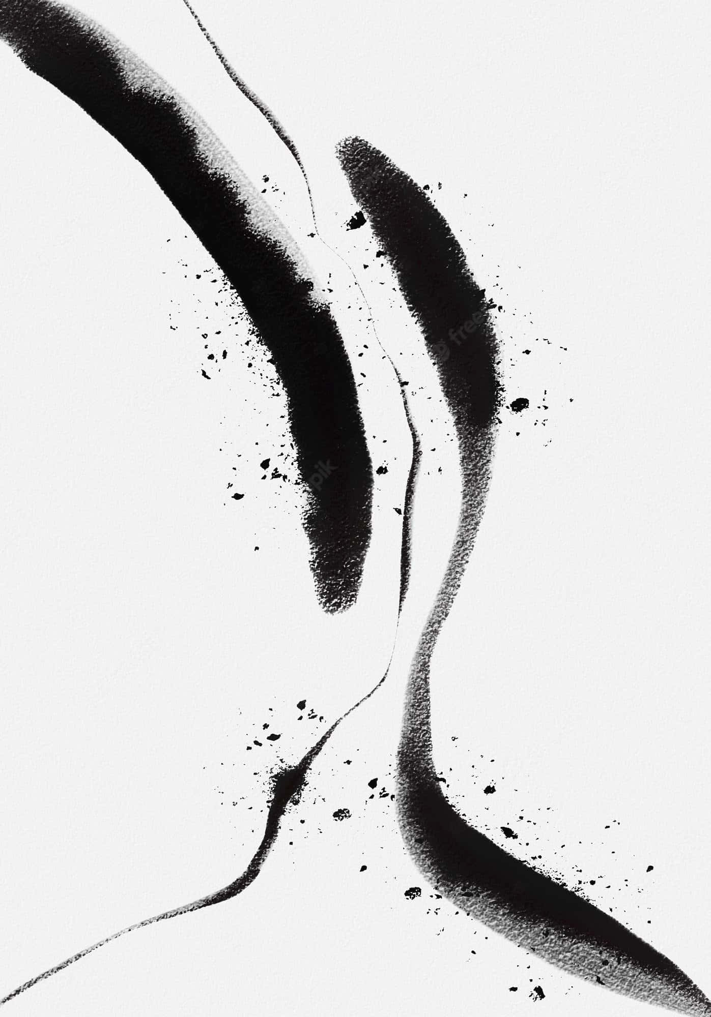 Kaunis kontrasti esteettisessä mustavalkoisessa Taustakuvat
