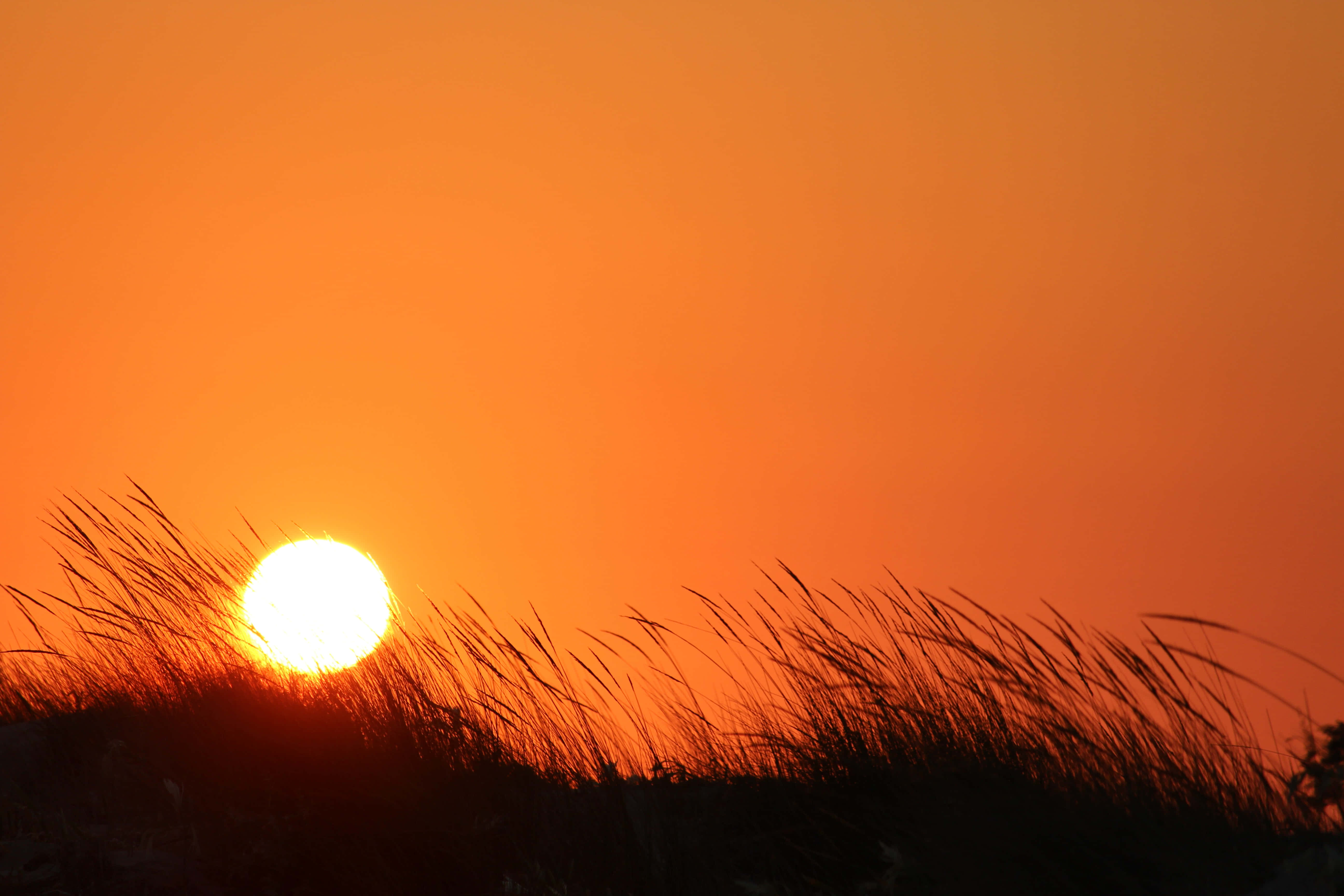 Kaunis kultainen auringonlasku valaisemassa taivasta Taustakuvat
