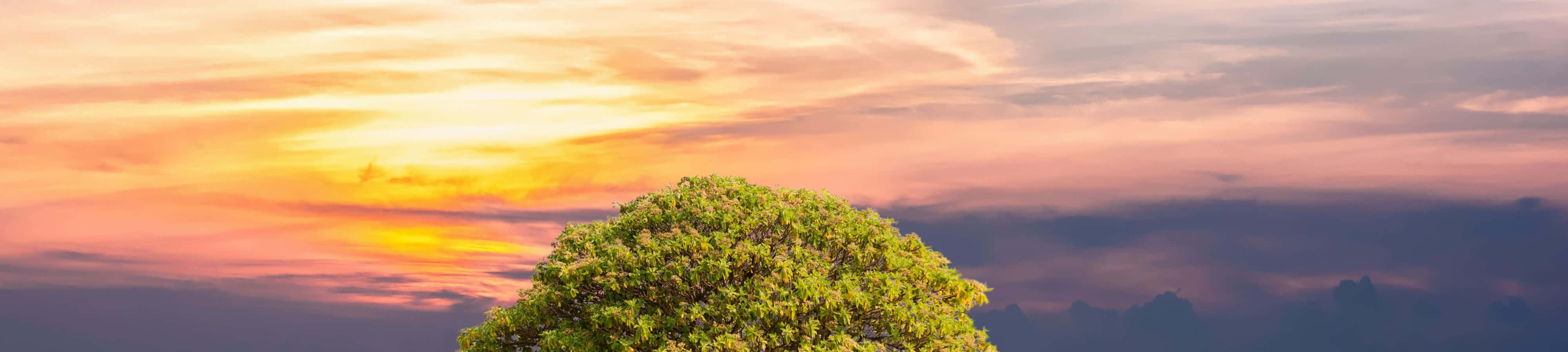 Kaunis luonto auringonlaskussa Taustakuvat