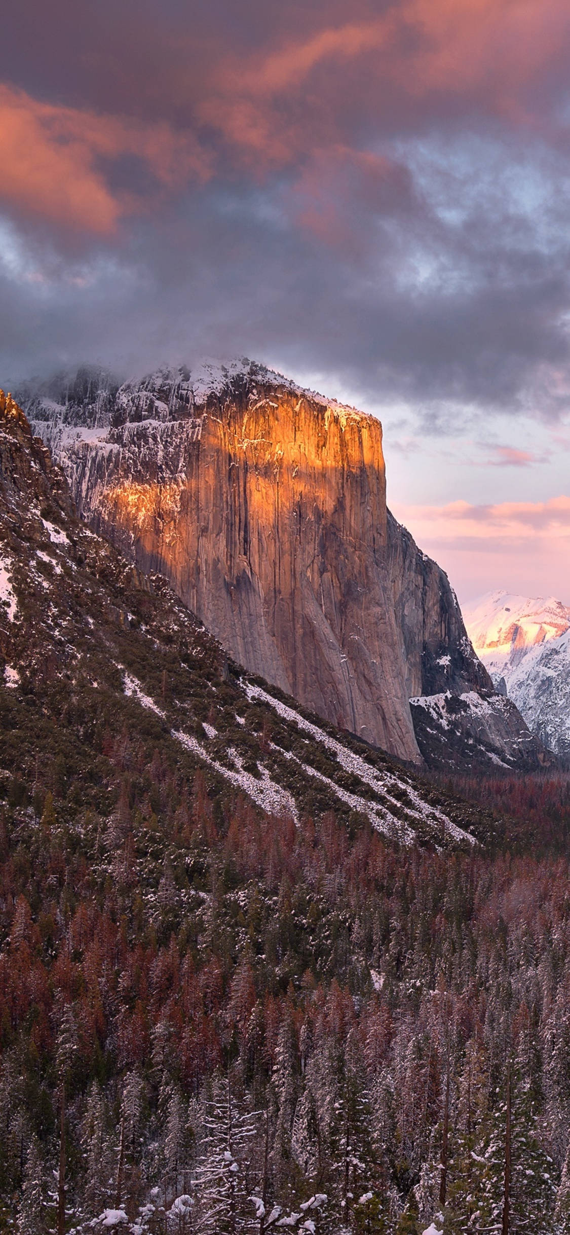 Kaunis näkymä Yosemiten kansallispuistoon iPhonen linssin läpi Taustakuvat