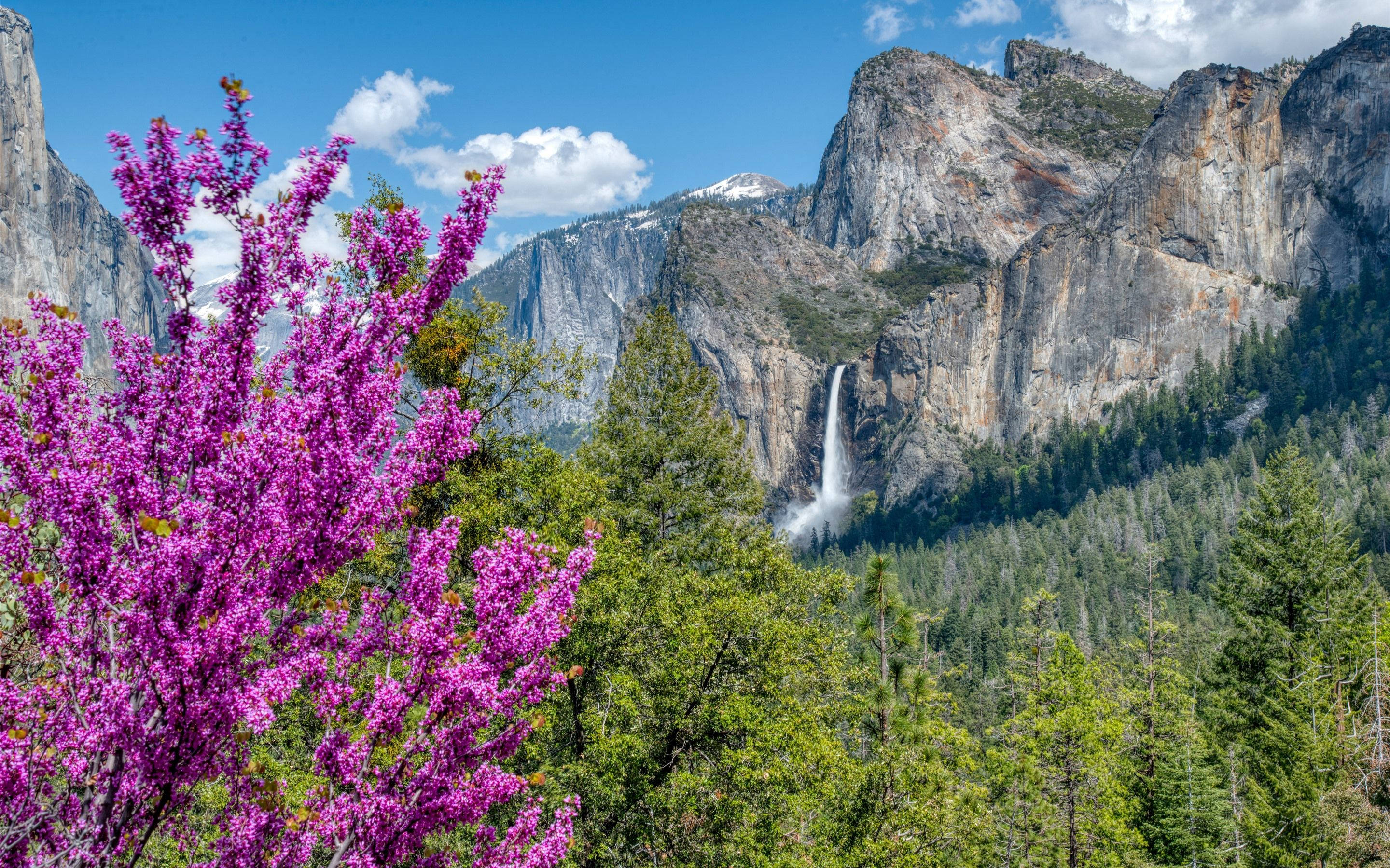Kaunis vesiputous Yosemite Taustakuvat