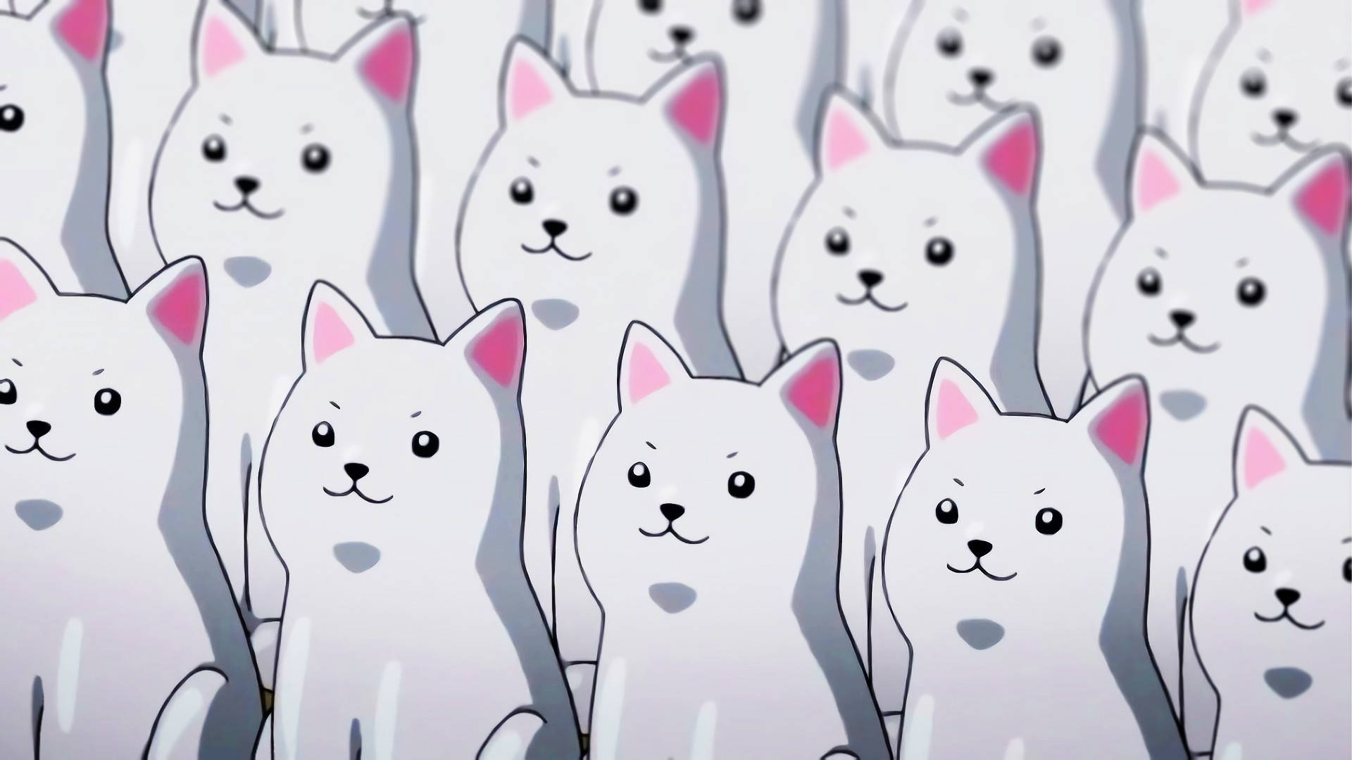 Kawaii HD Valkoiset Koirat Taustakuvat